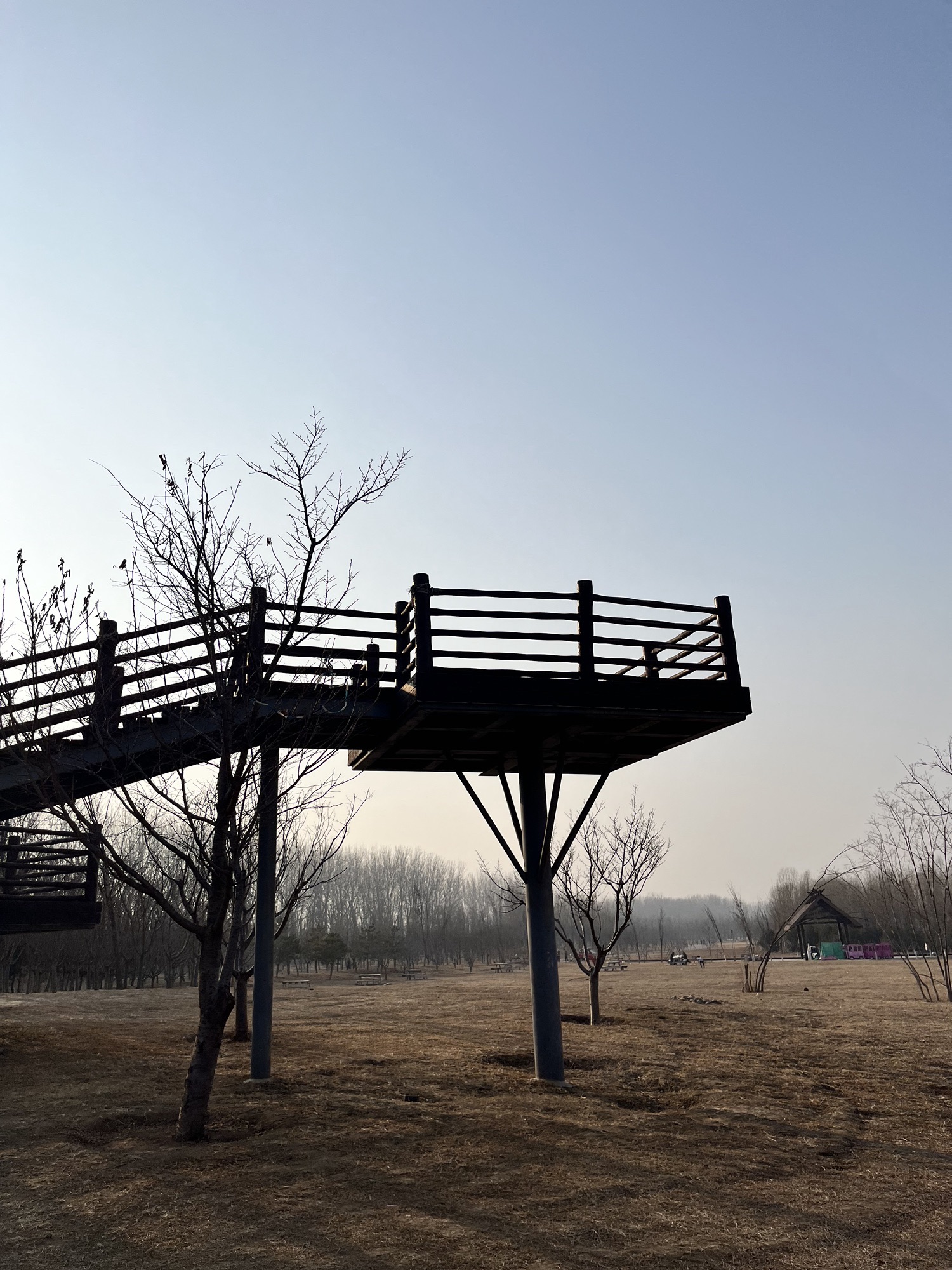 樱花公园旅行图片 2