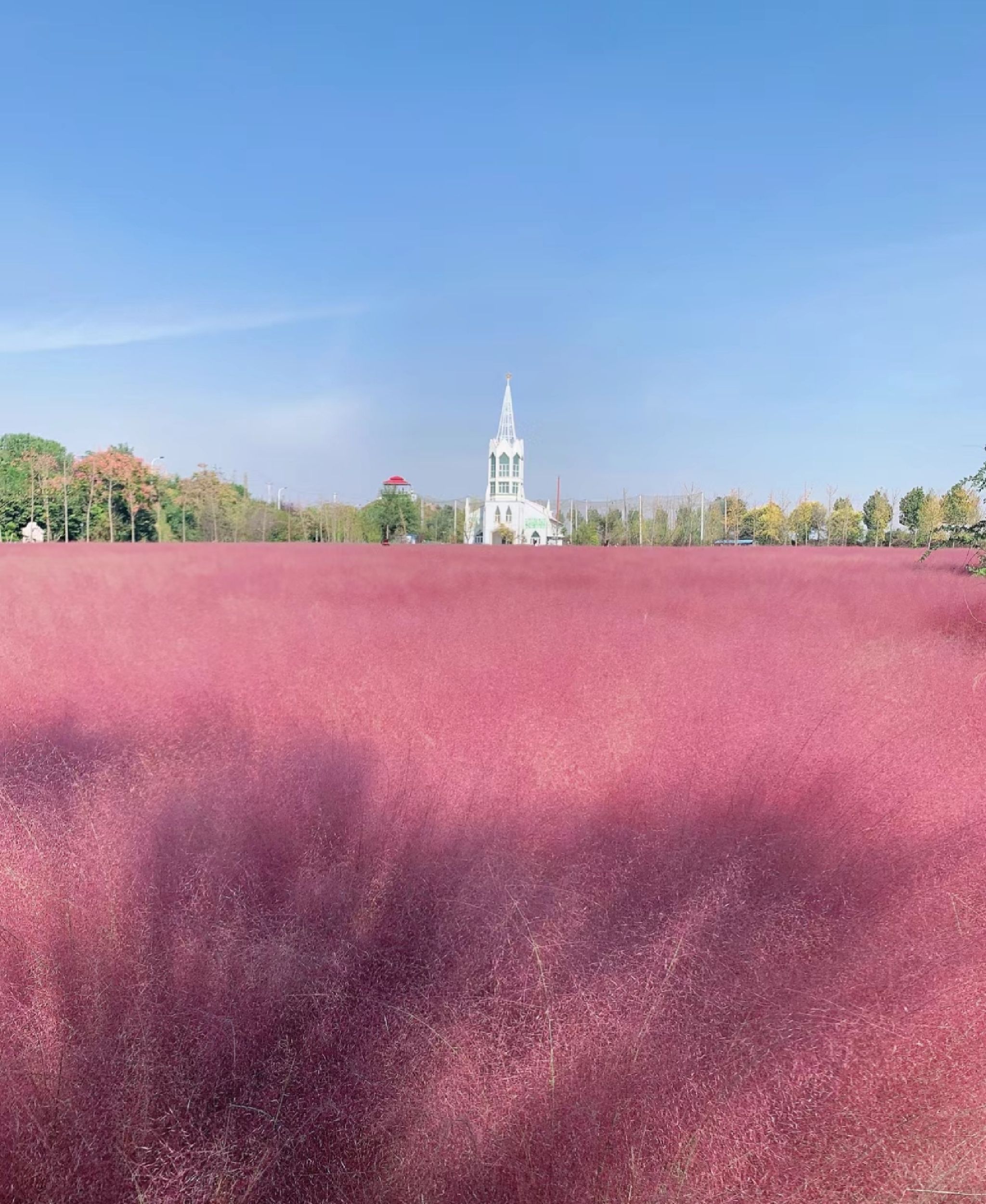 王吴水库景区旅行图片 3