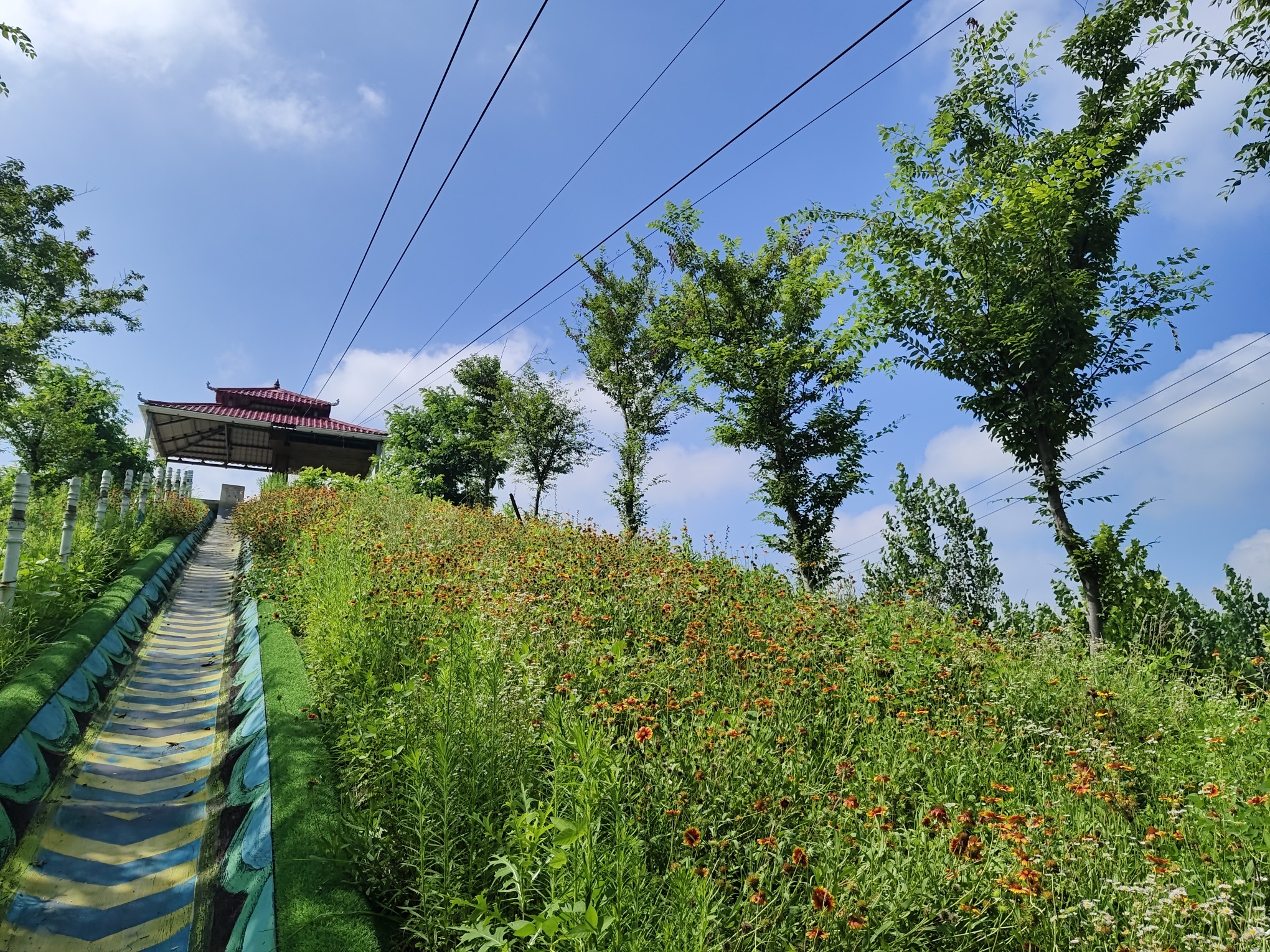 王吴水库景区旅行图片 3