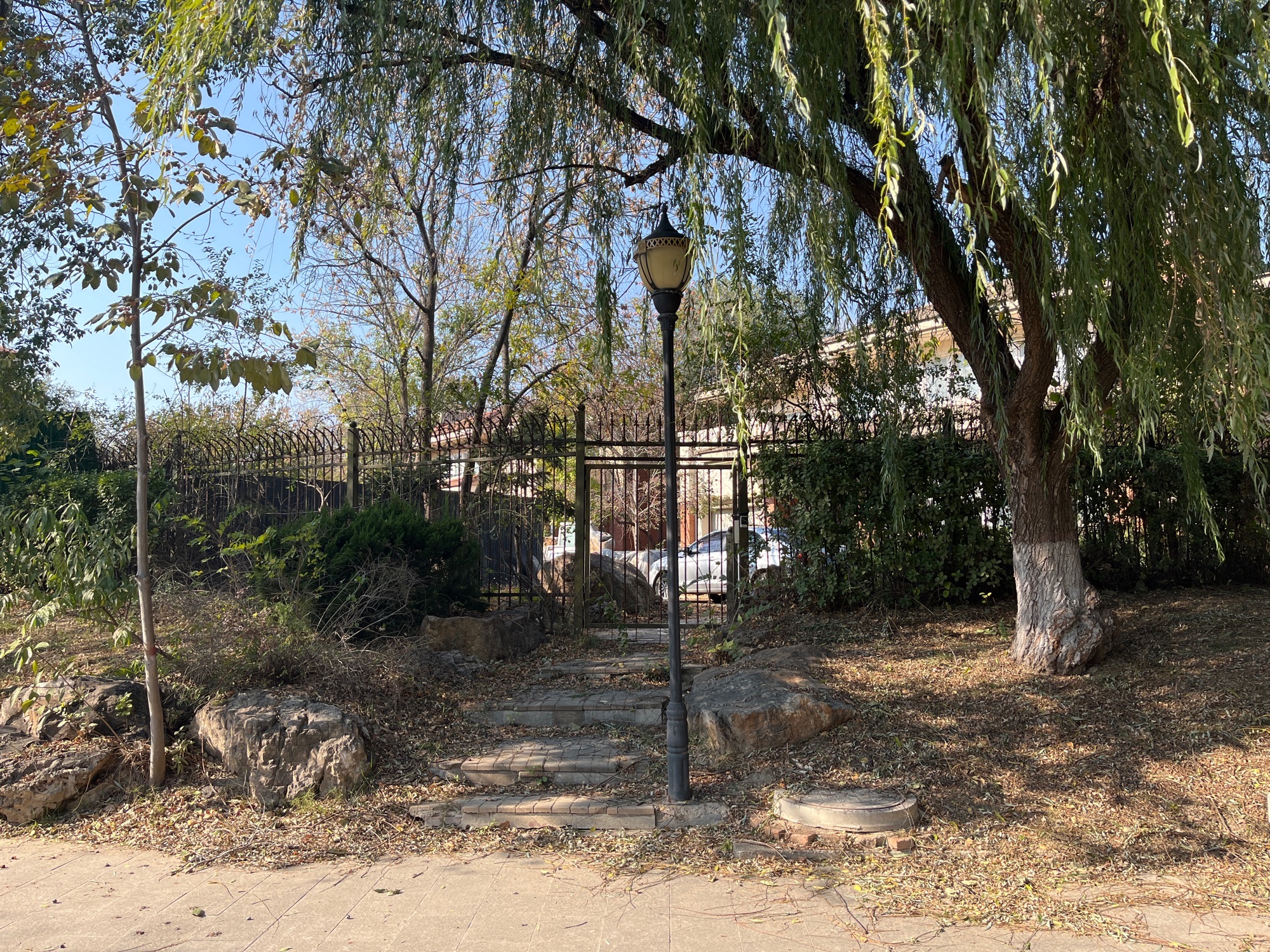 凤翔河湿地公园旅行图片 3