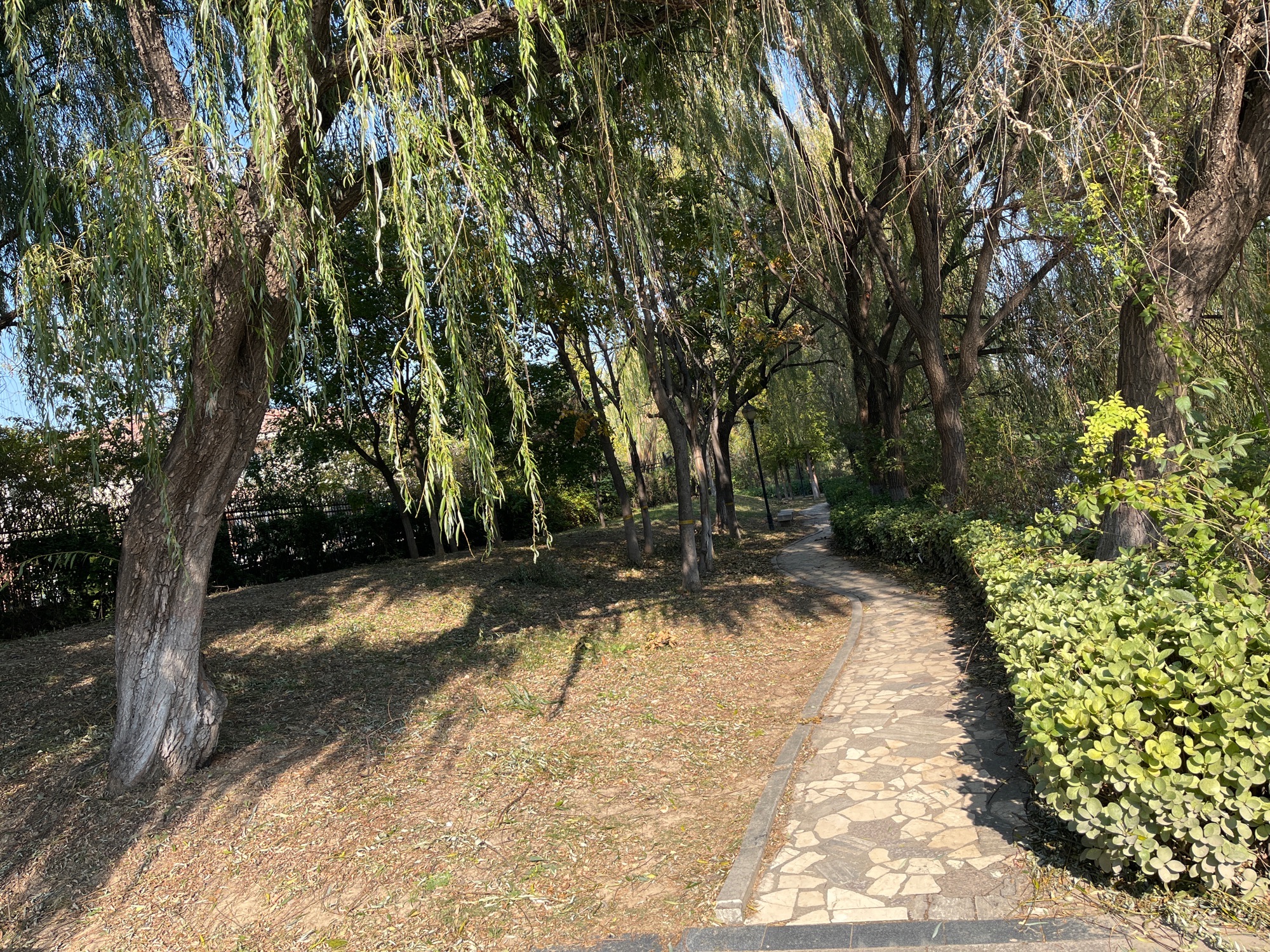 凤翔河湿地公园旅行图片 2