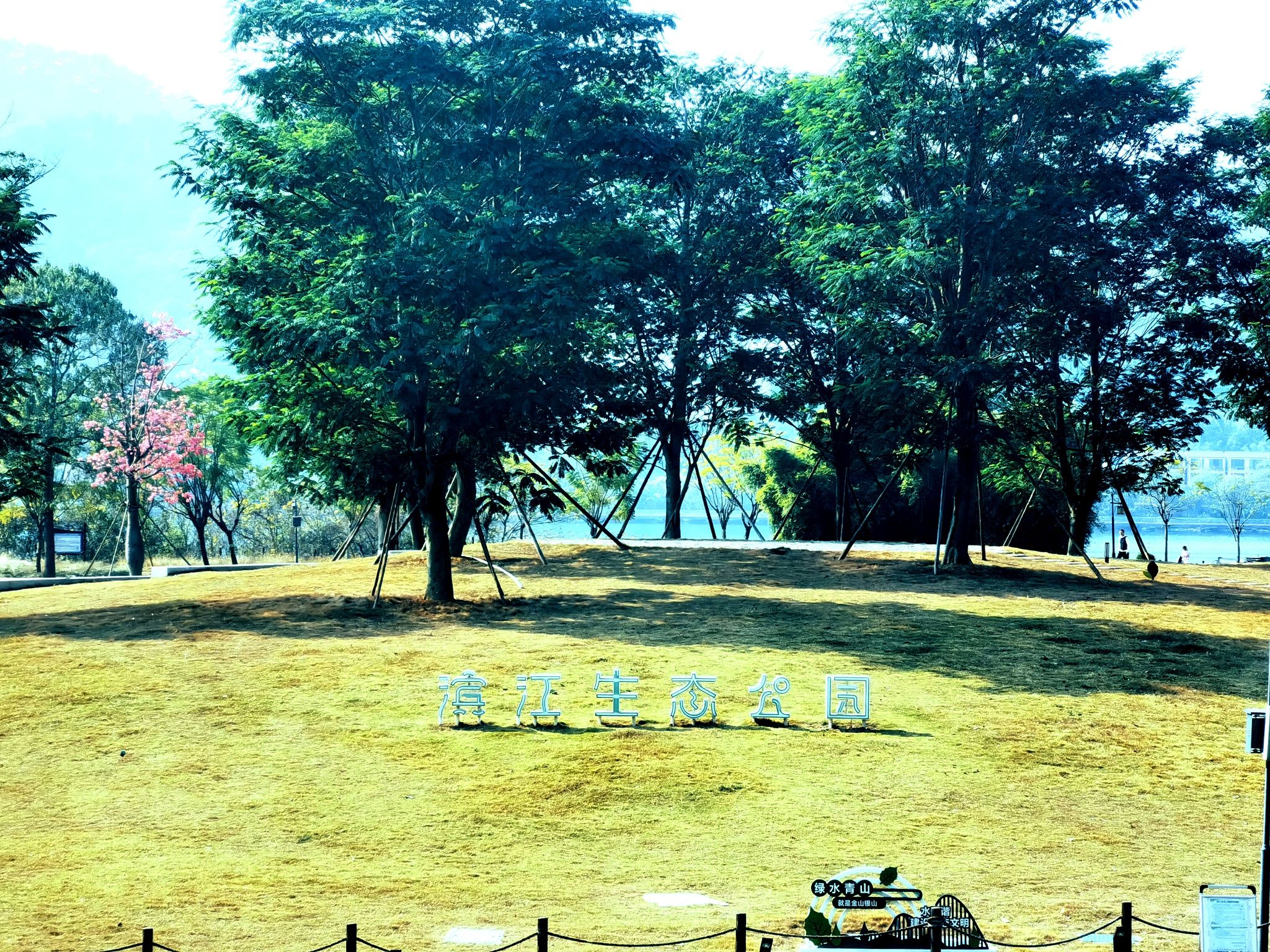 柳州市滨江生态公园旅行图片 1