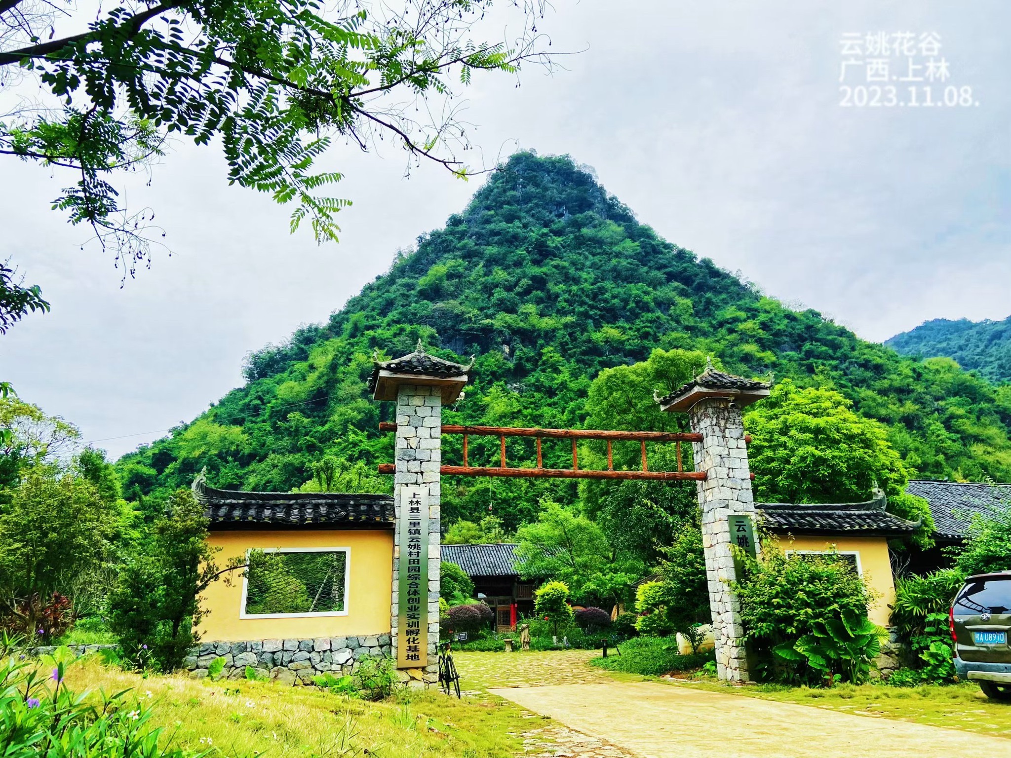 云姚花谷旅行图片 2