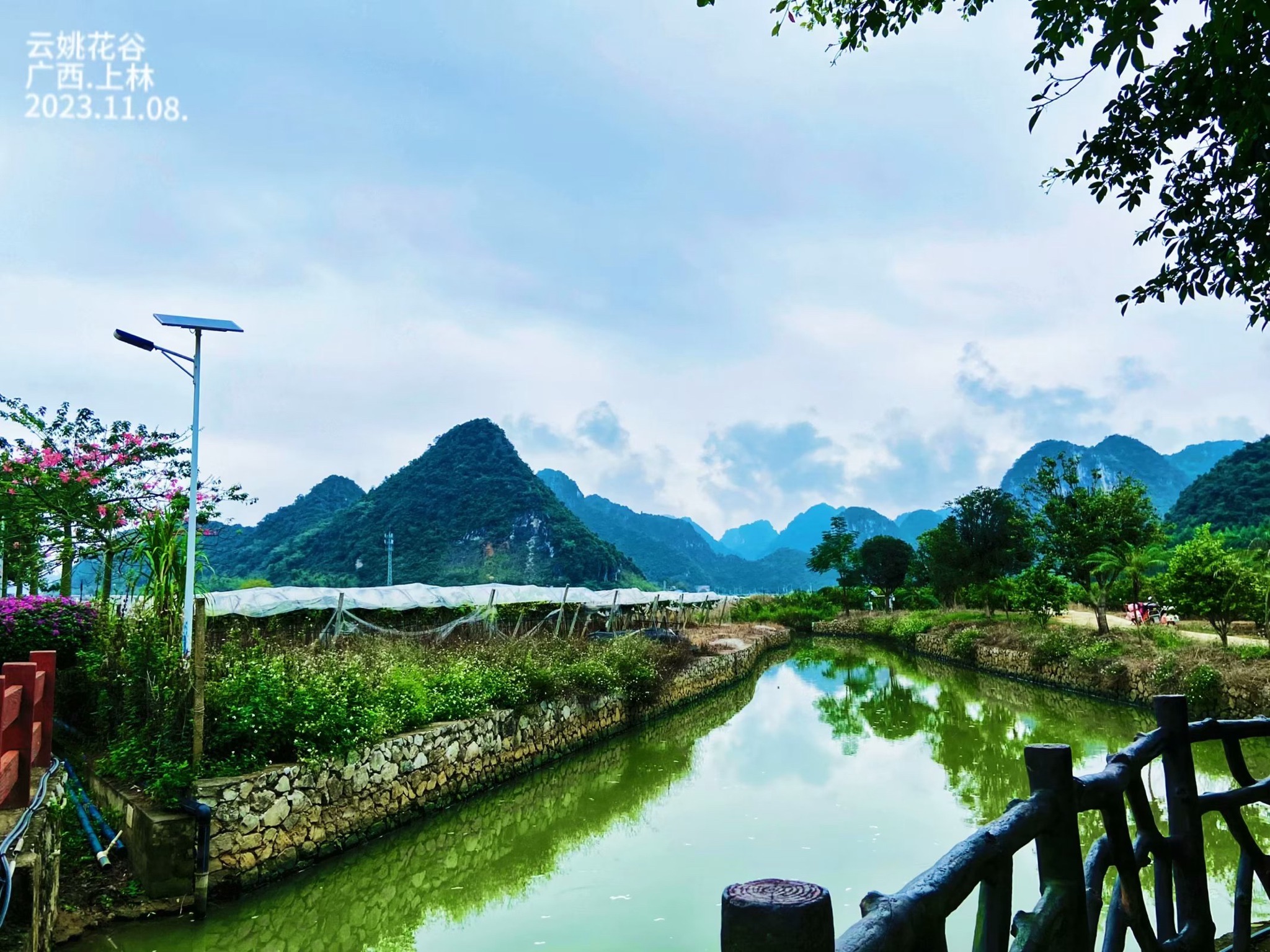 云姚花谷旅行图片 3