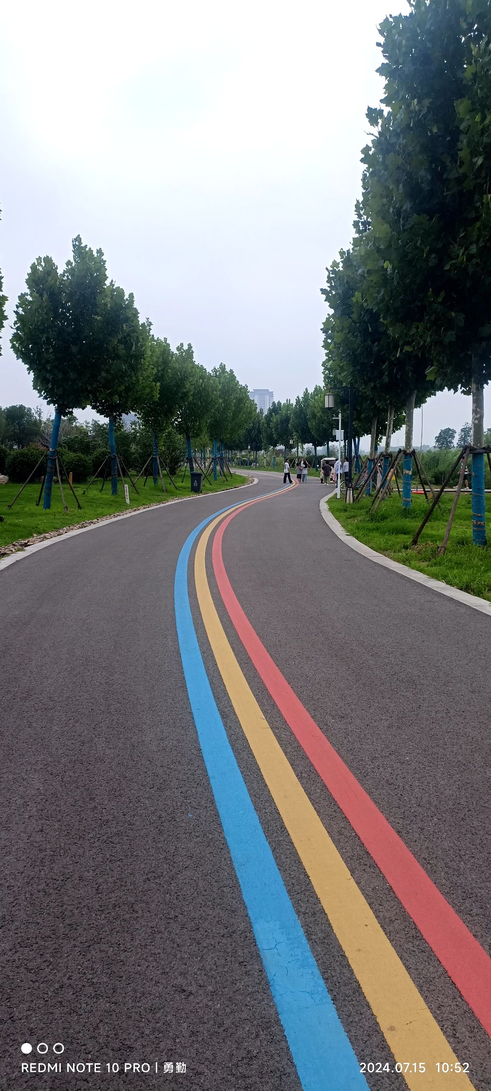 龙吟湖国家湿地公园旅行图片 1