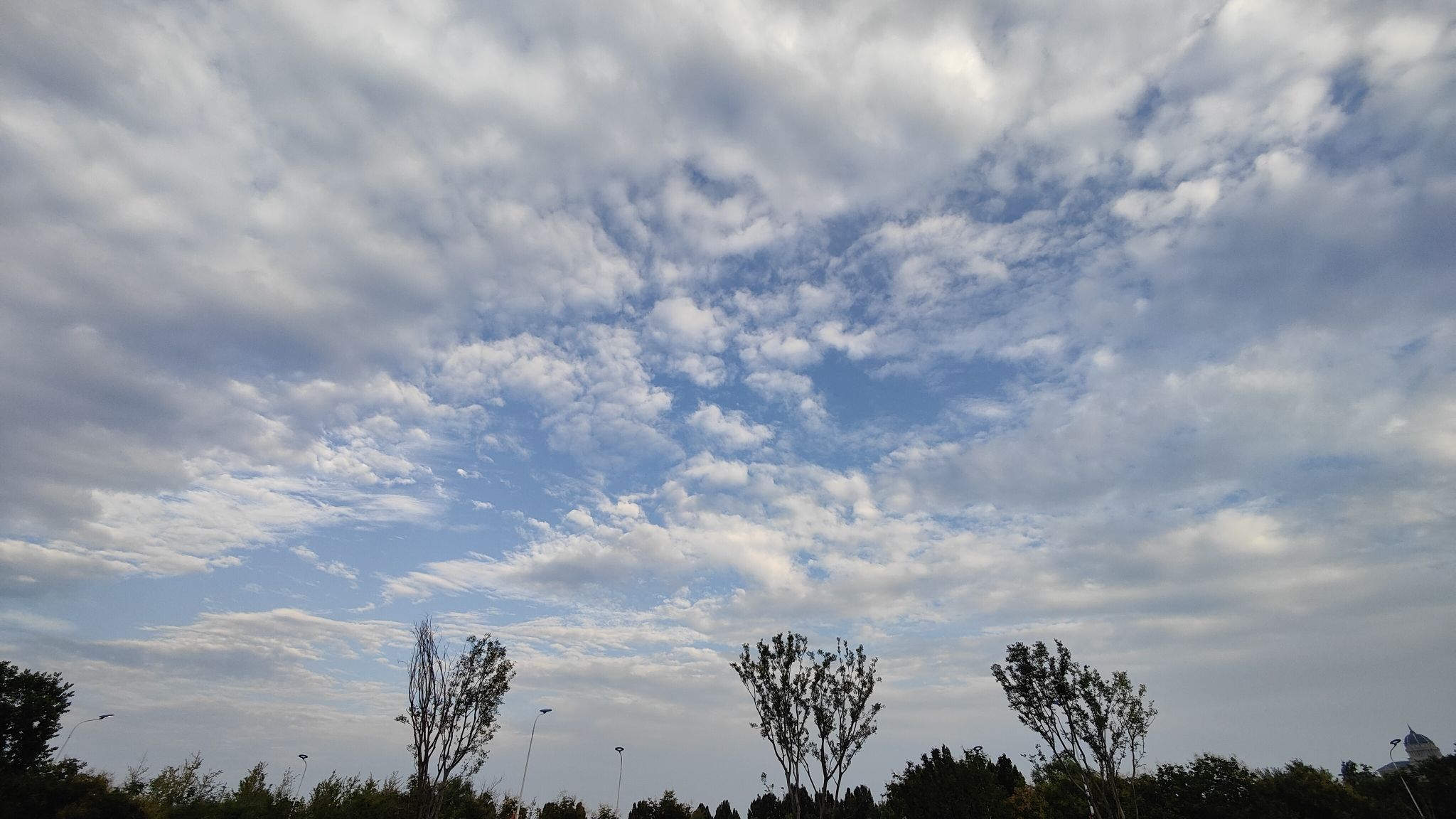 凤栖湖生态公园旅行图片 2