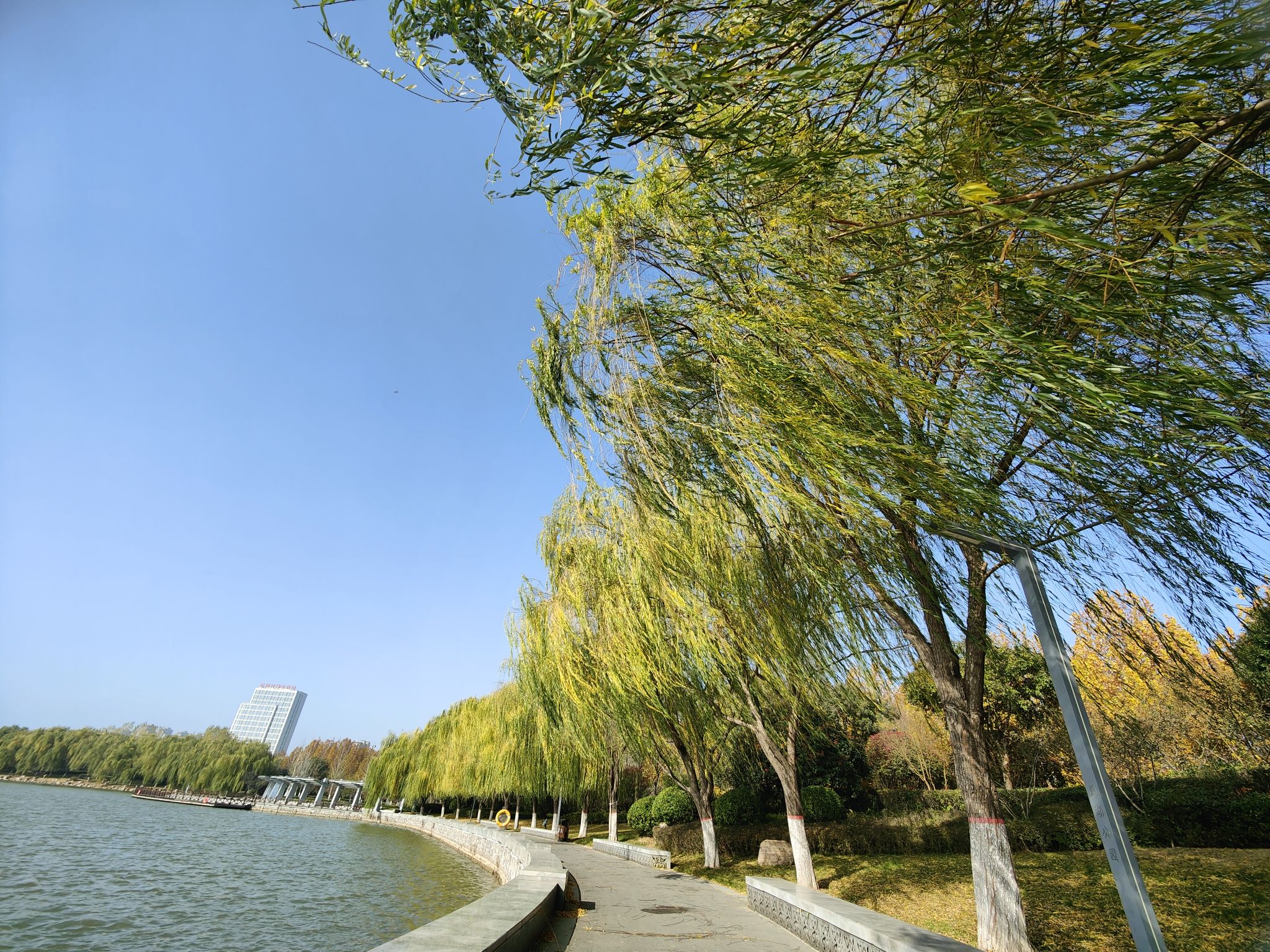 凤栖湖生态公园旅行图片 1