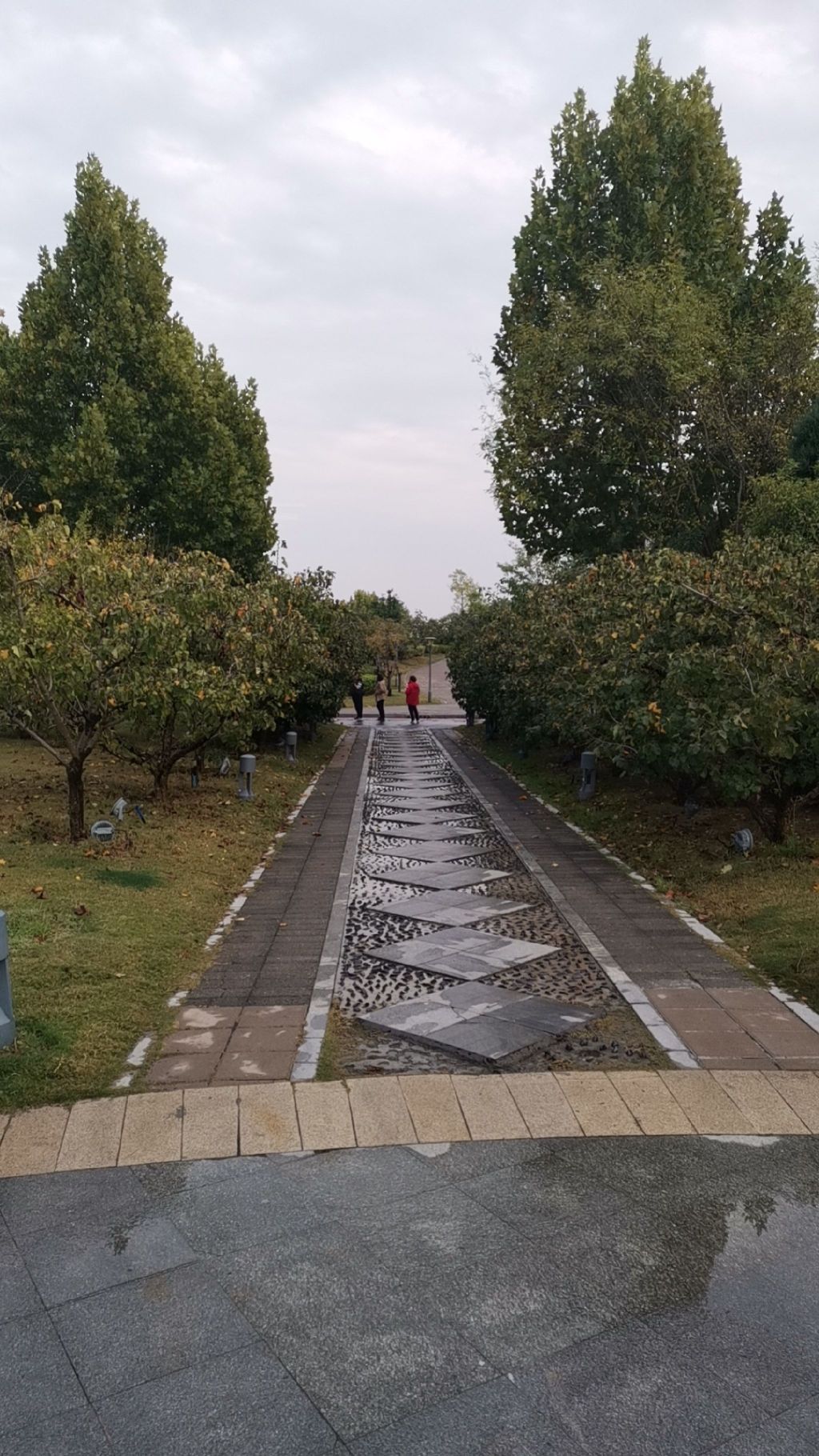 凤栖湖生态公园旅行图片 1