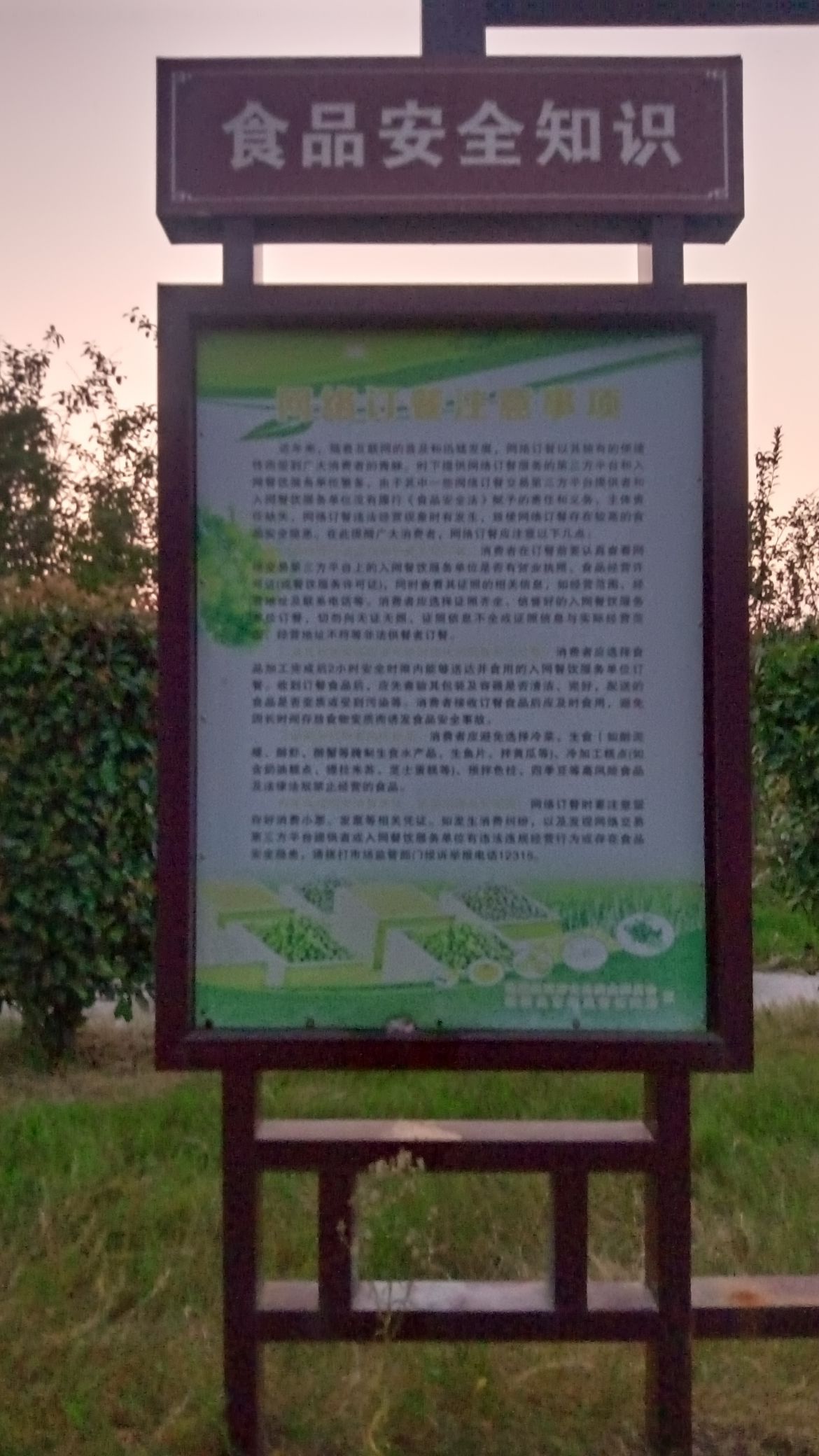 桂湖五彩森林公园旅行图片 1