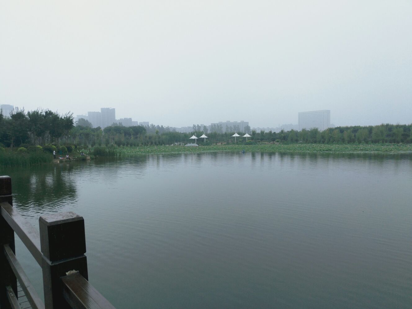 桂湖五彩森林公园旅行图片 1