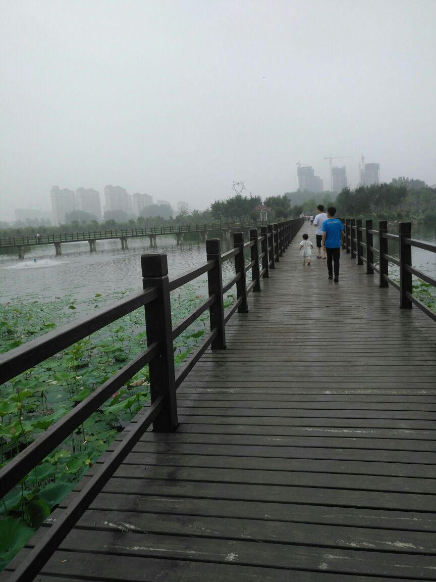 桂湖五彩森林公园旅行图片 2