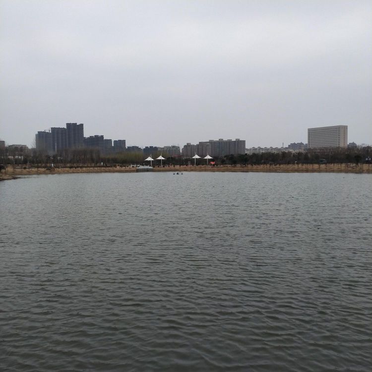 桂湖五彩森林公园旅行图片 3