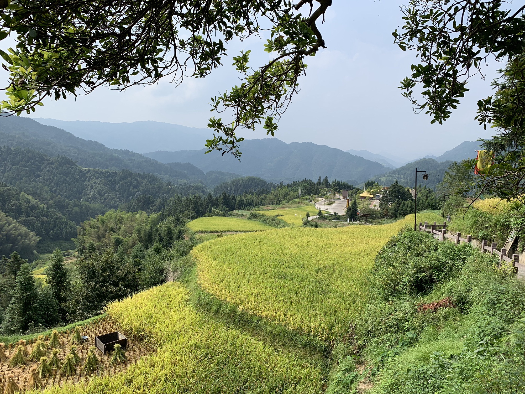 雁鹅界古村落旅行图片 2