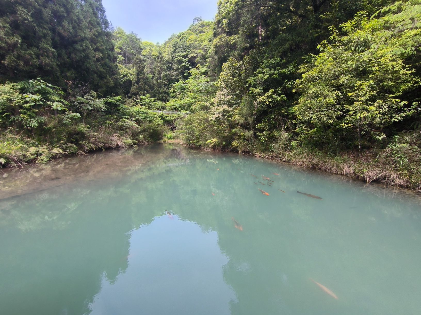 清凉亭旅行图片 3