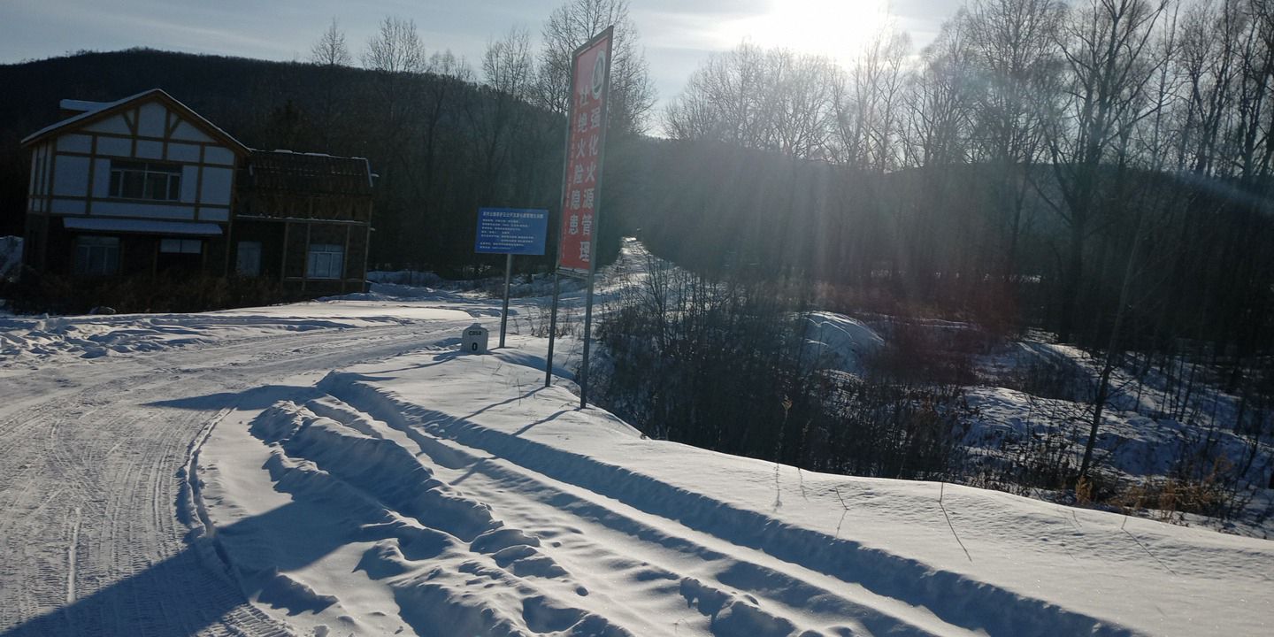 古树群景区旅行图片 3