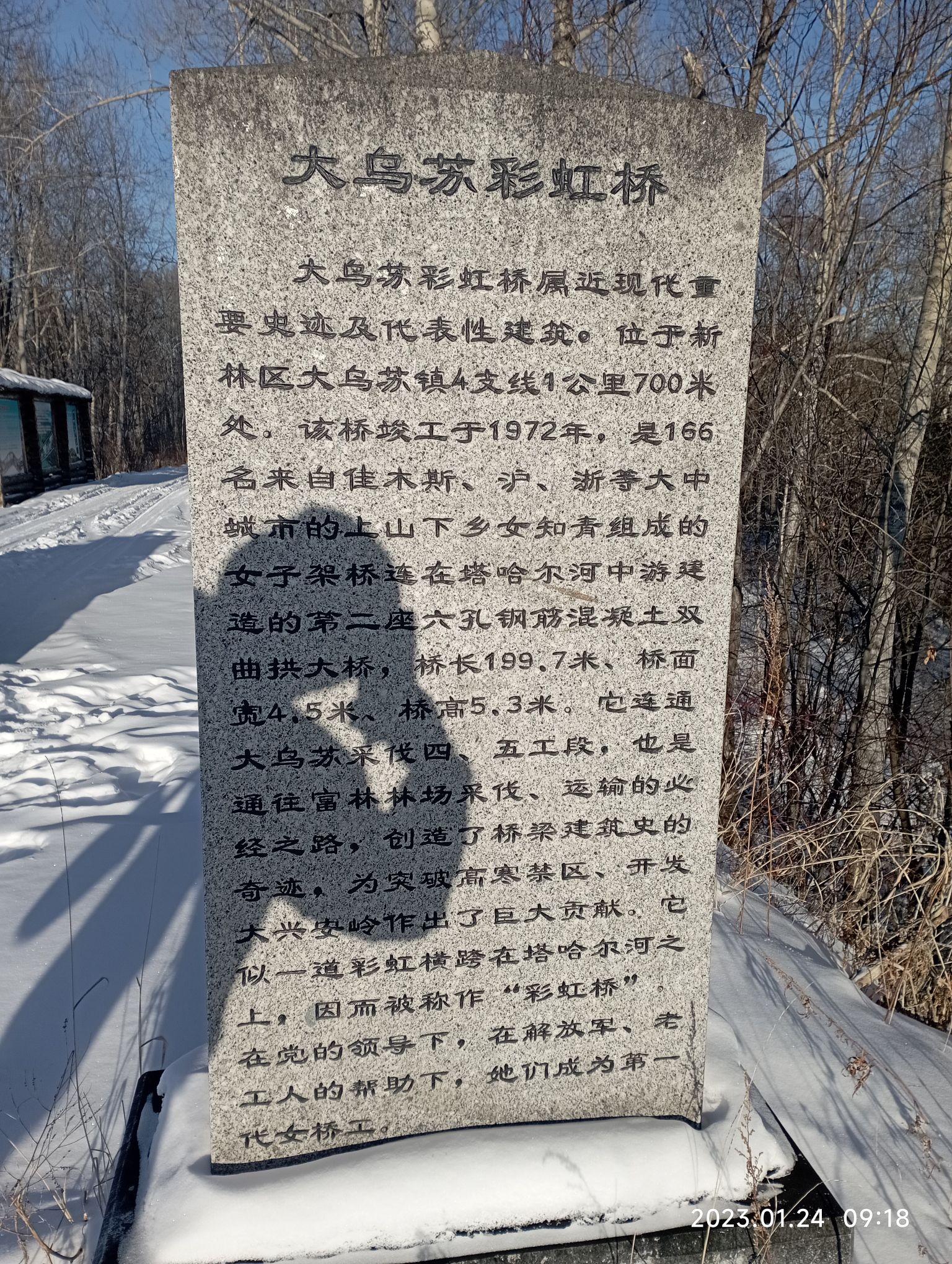 古树群景区旅行图片 2