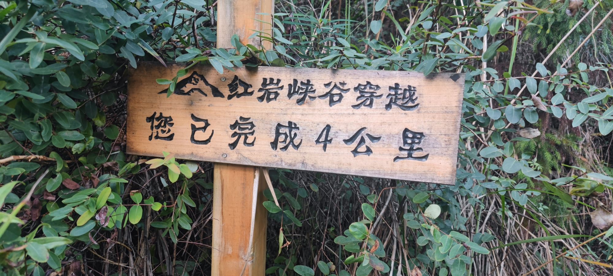 红岩峡谷旅行图片 1