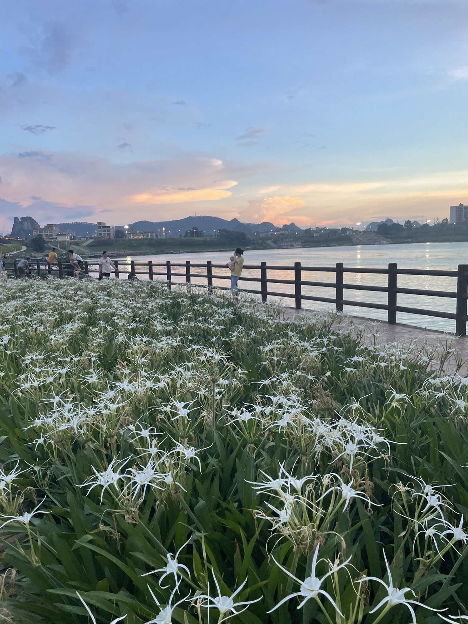 大江口水塔旅行图片 1