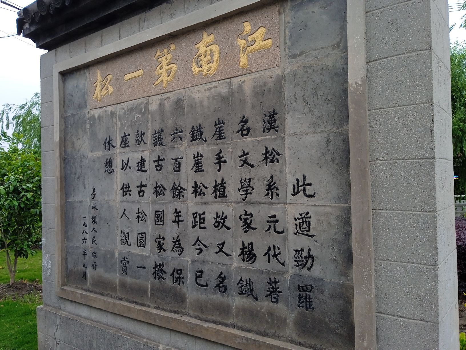 江南第一松旅行图片 2