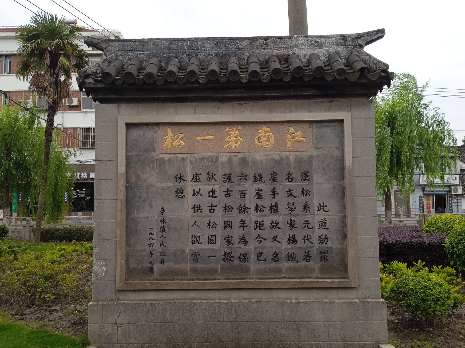 江南第一松旅行图片 1