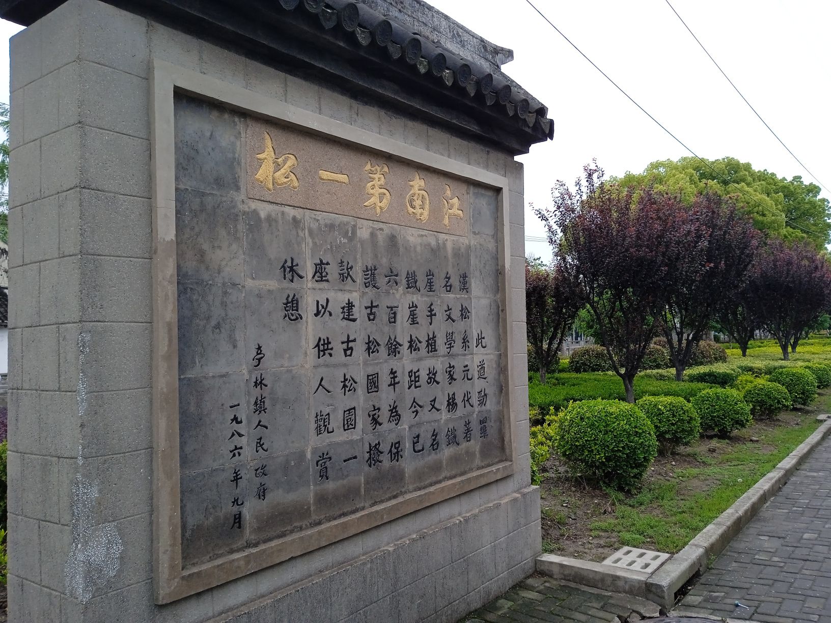 江南第一松旅行图片 3