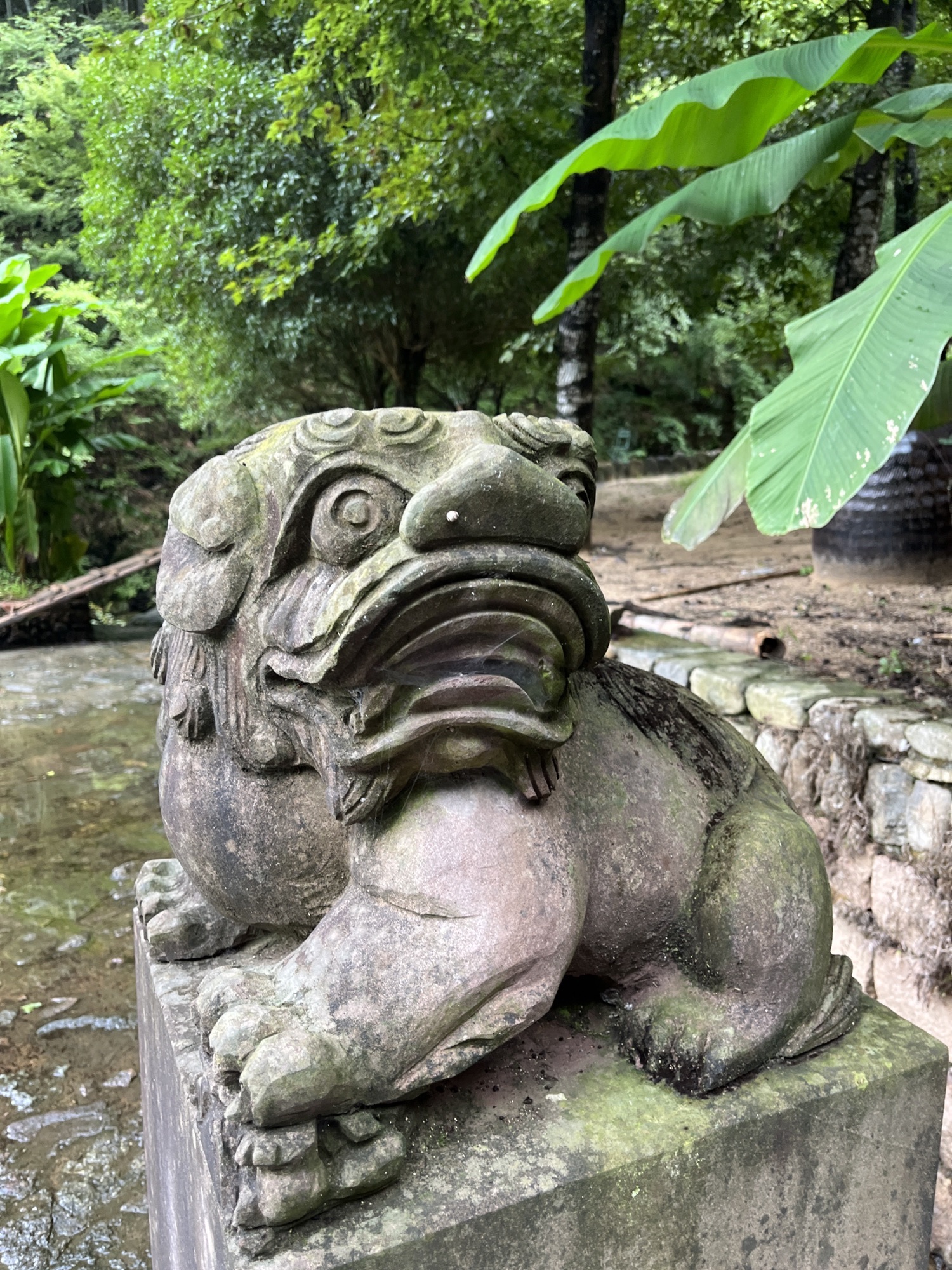 罗汉谷旅行图片 3
