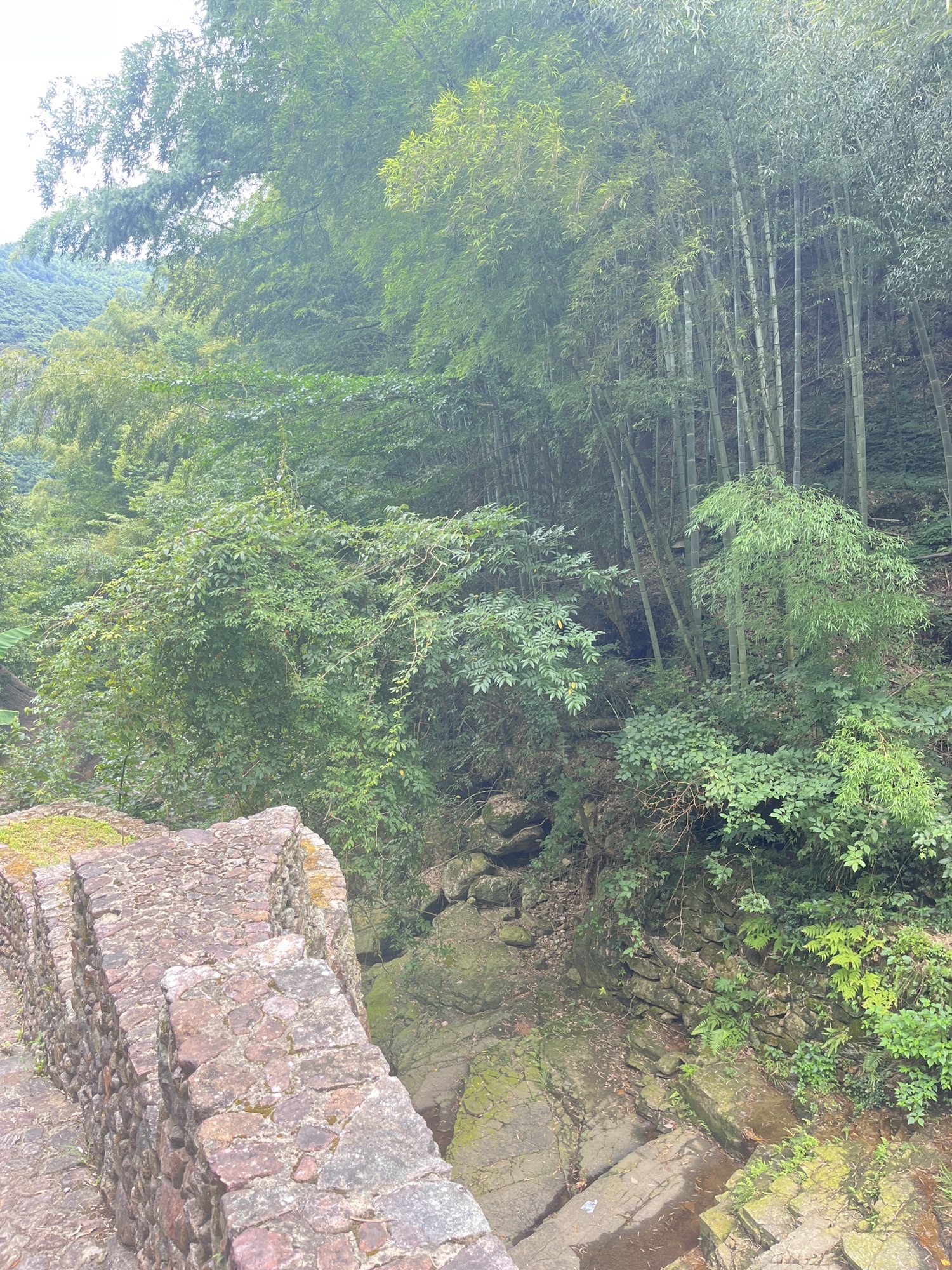 罗汉谷旅行图片 3