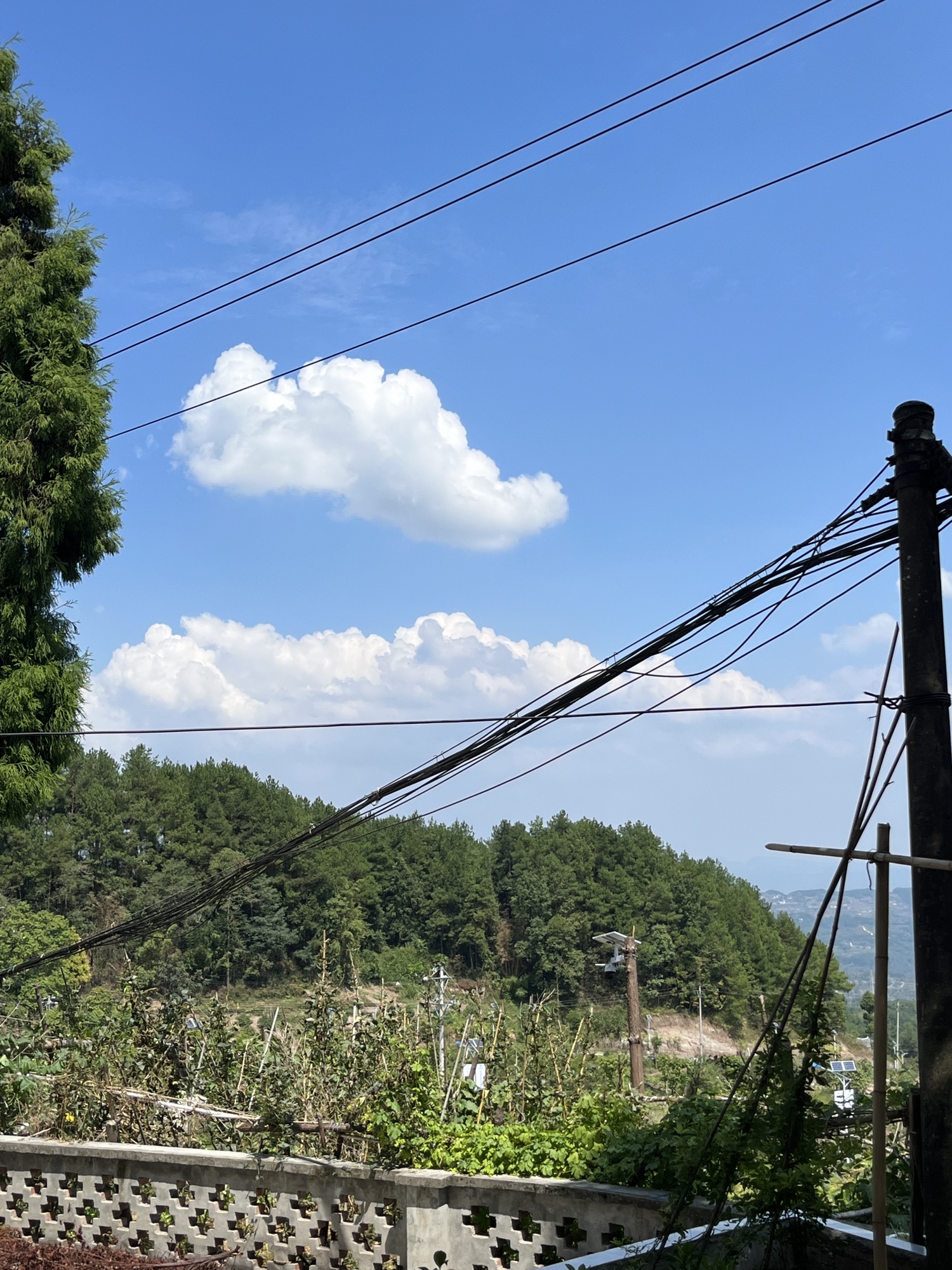 綦江帝岭云湖高山森林度假公园旅行图片 2
