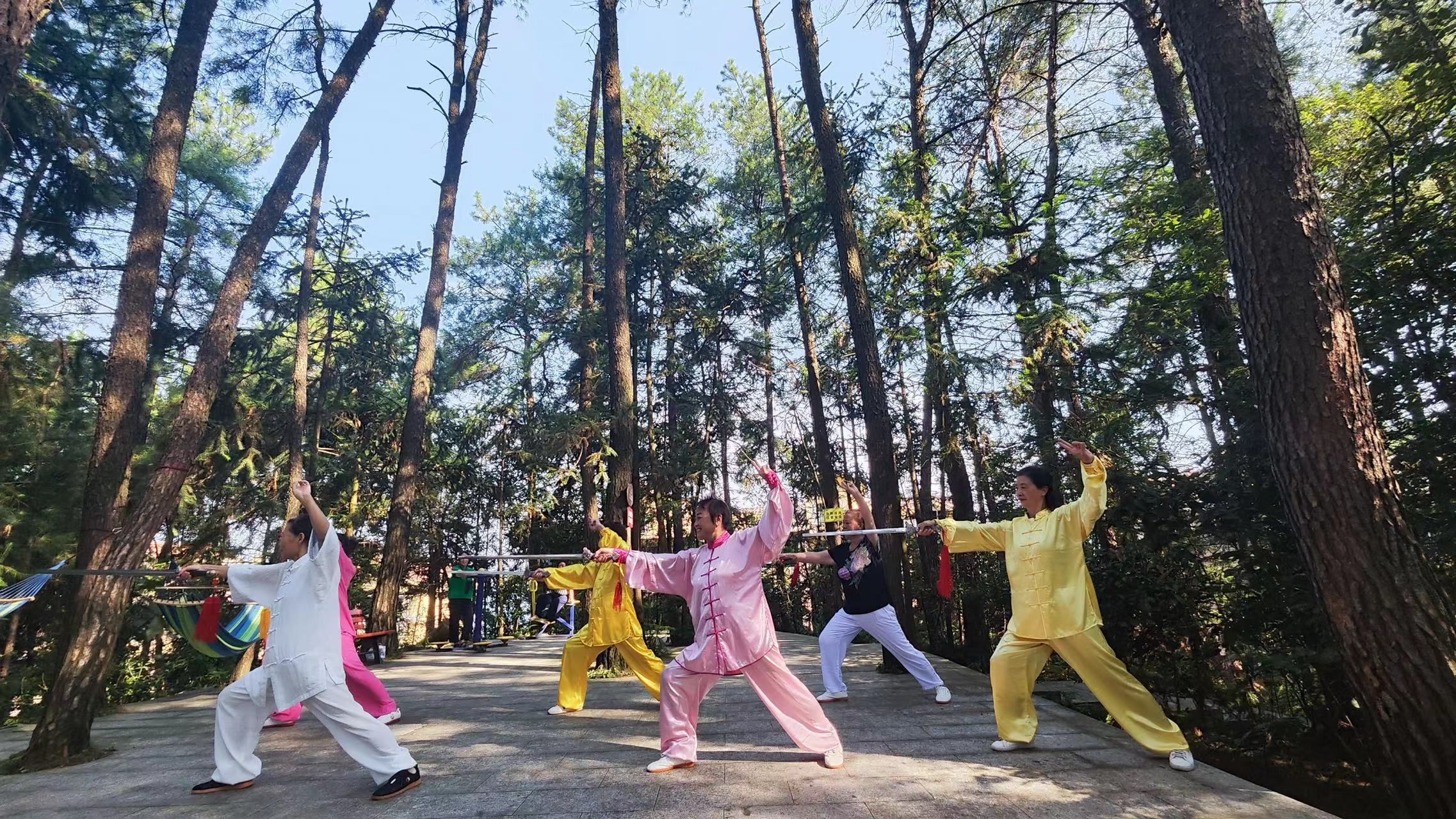 綦江帝岭云湖高山森林度假公园旅行图片 1
