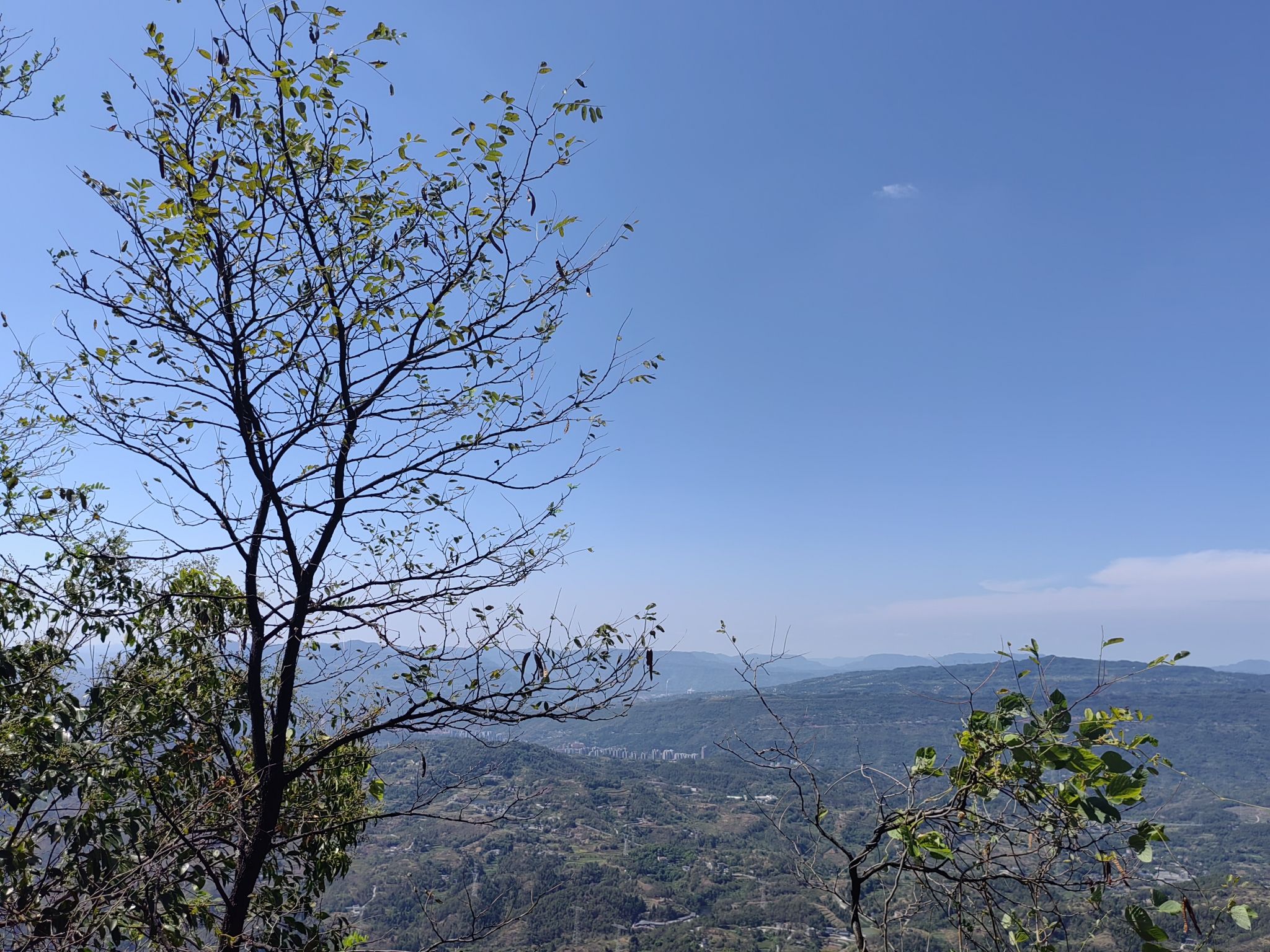 綦江帝岭云湖高山森林度假公园旅行图片 3