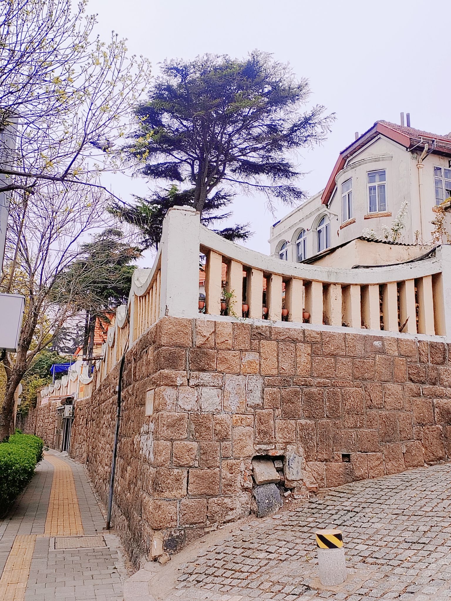 李慰农公园旅行图片 3