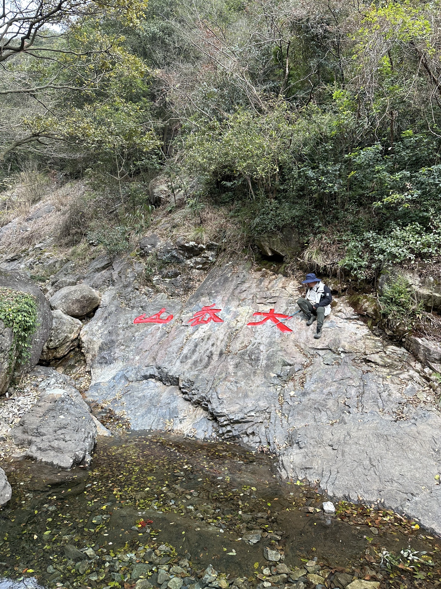 大岙山旅游景区旅行图片 1