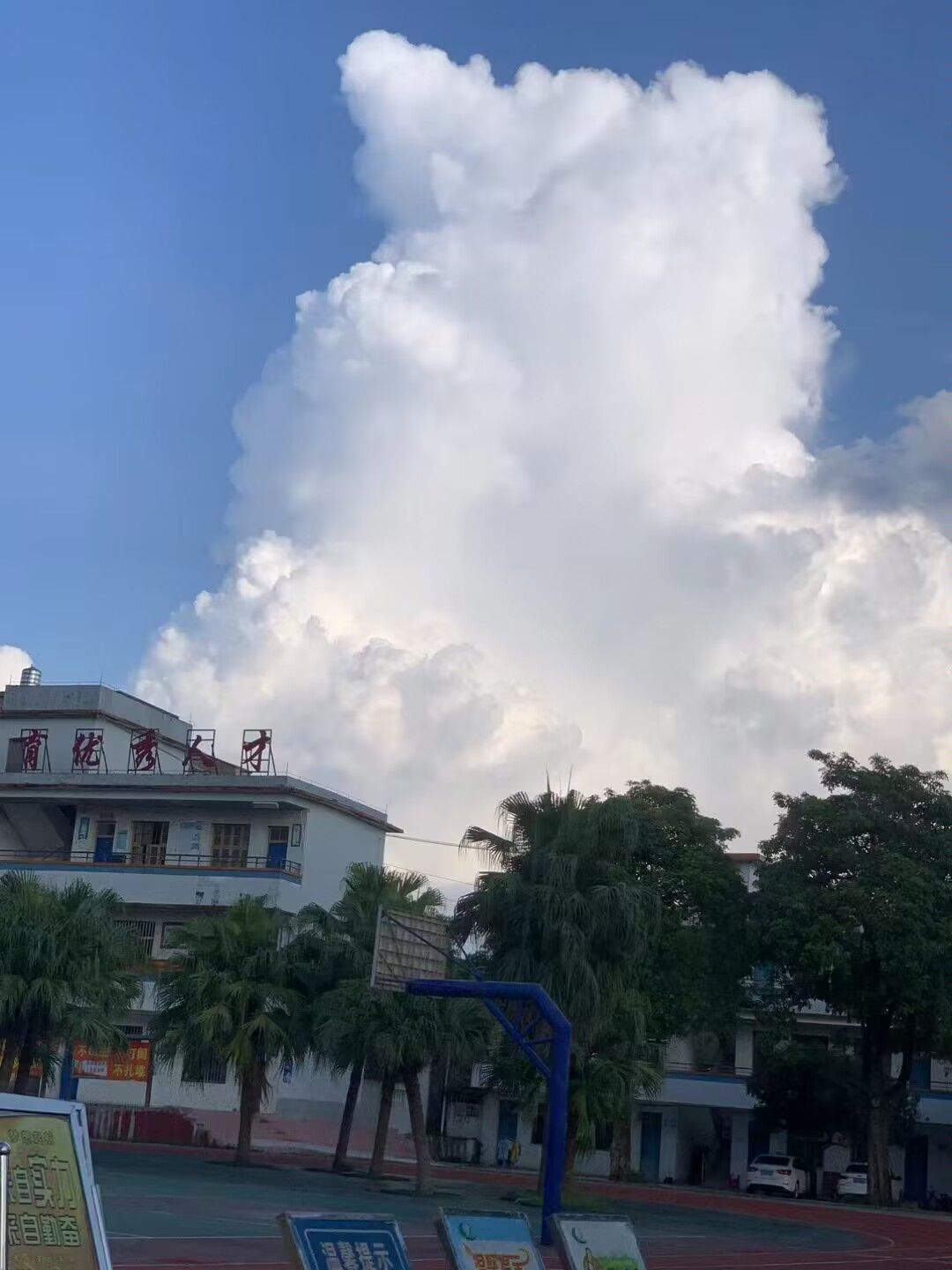 双甘文化广场旅行图片 3