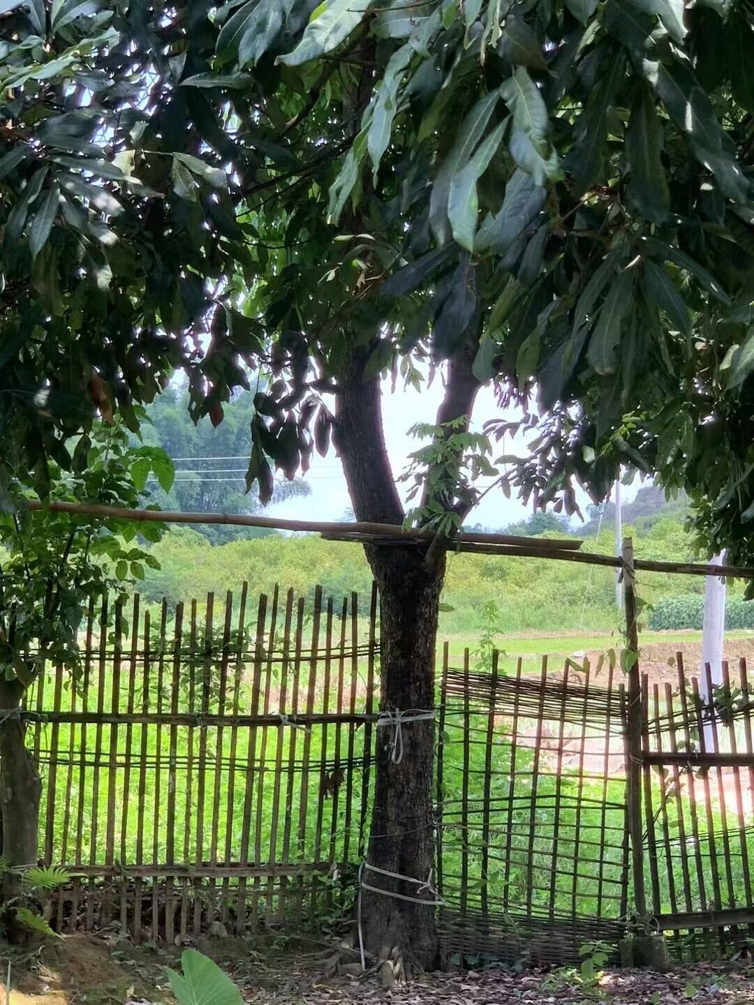 双甘文化广场旅行图片 2