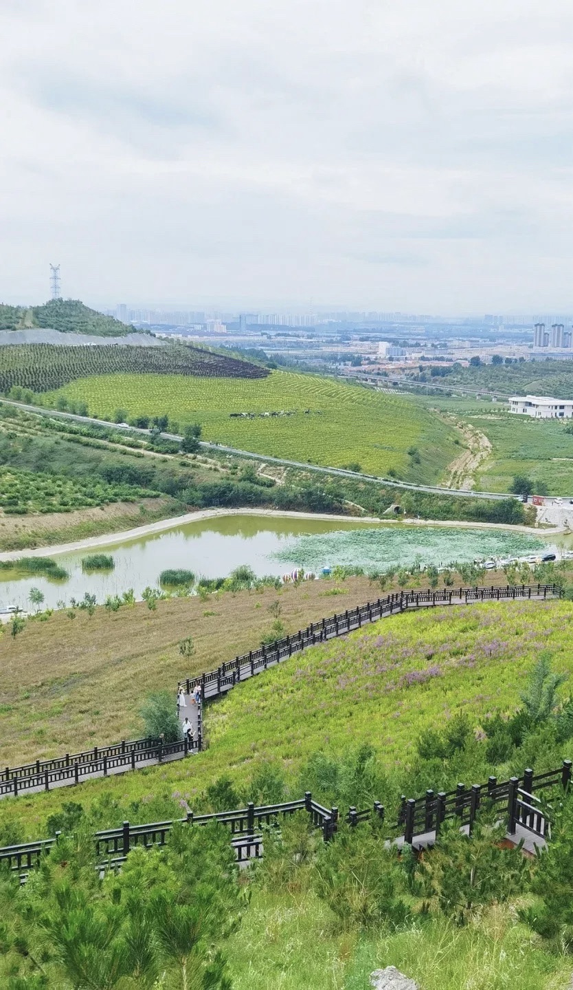 心景花海旅行图片 1