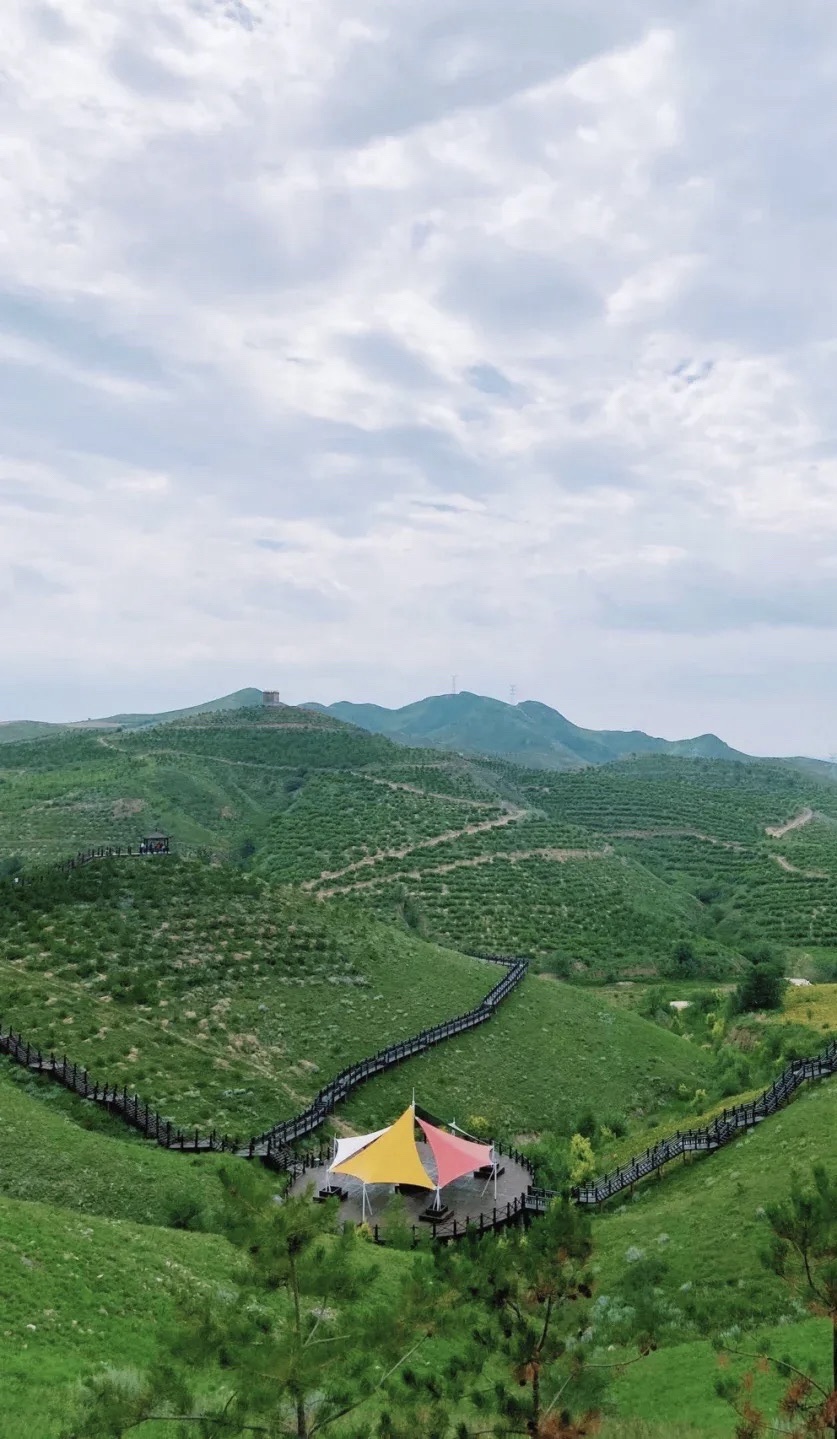 心景花海旅行图片 3