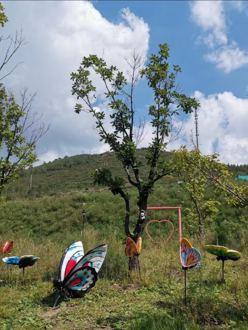 心景花海旅行图片 2