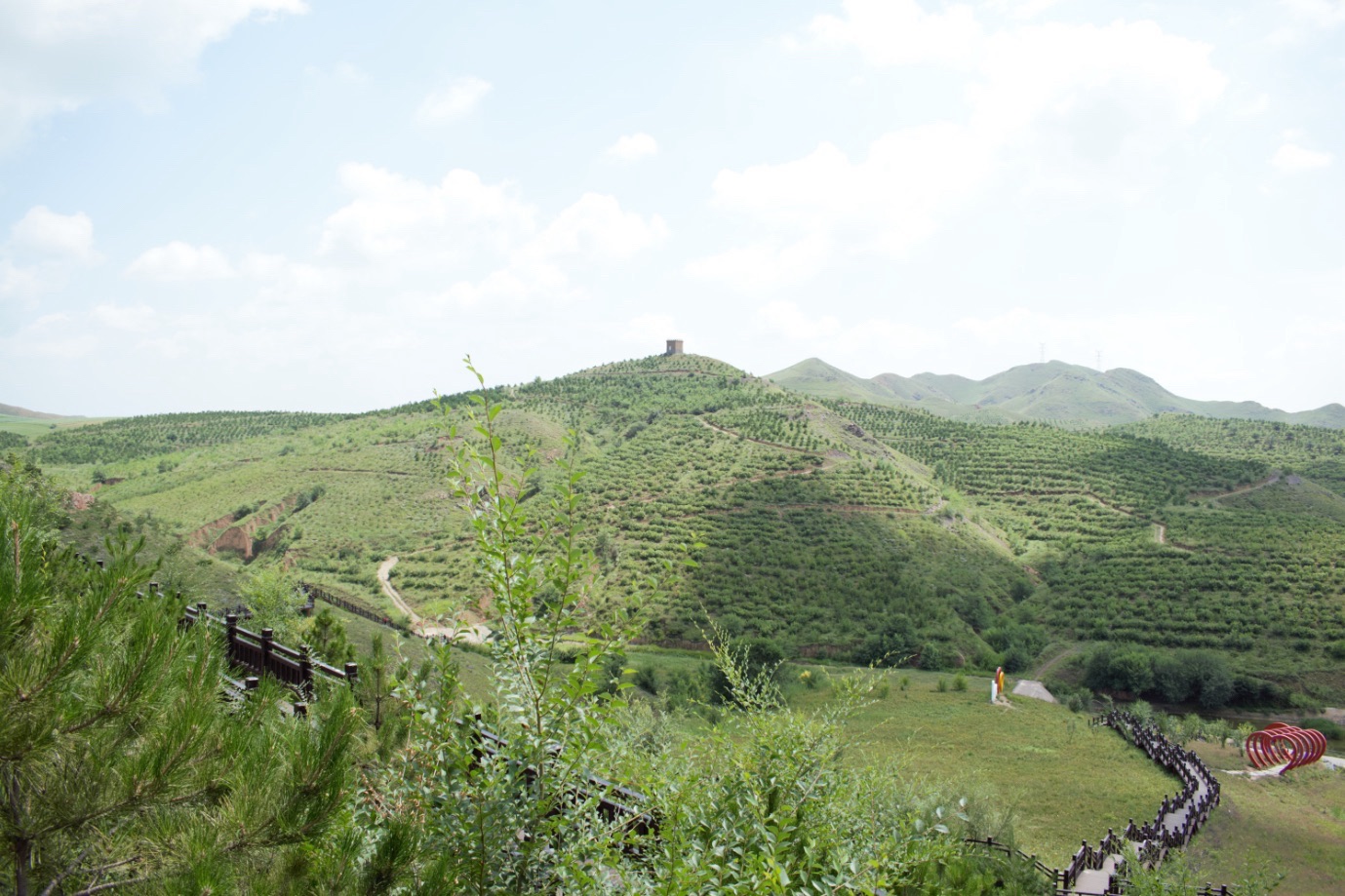 心景花海旅行图片 3