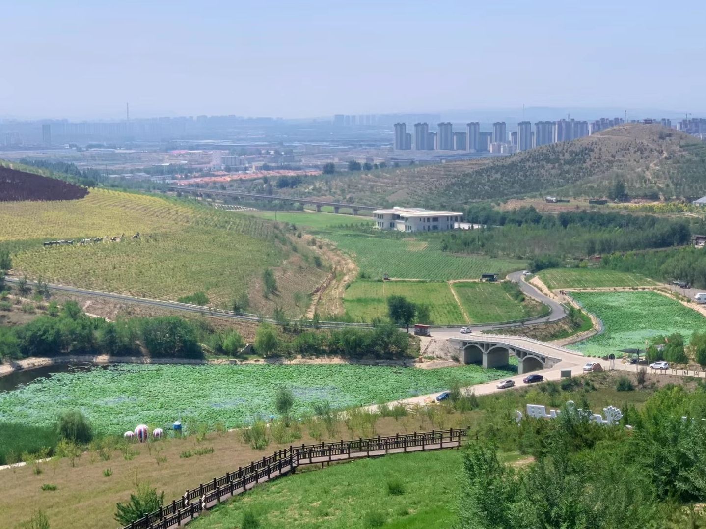 心景花海旅行图片 1