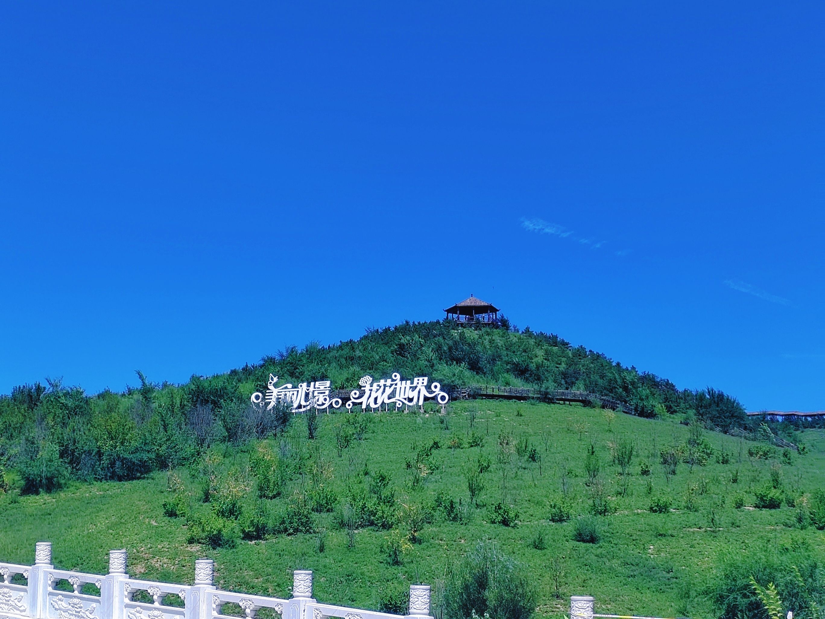 心景花海旅行图片 3