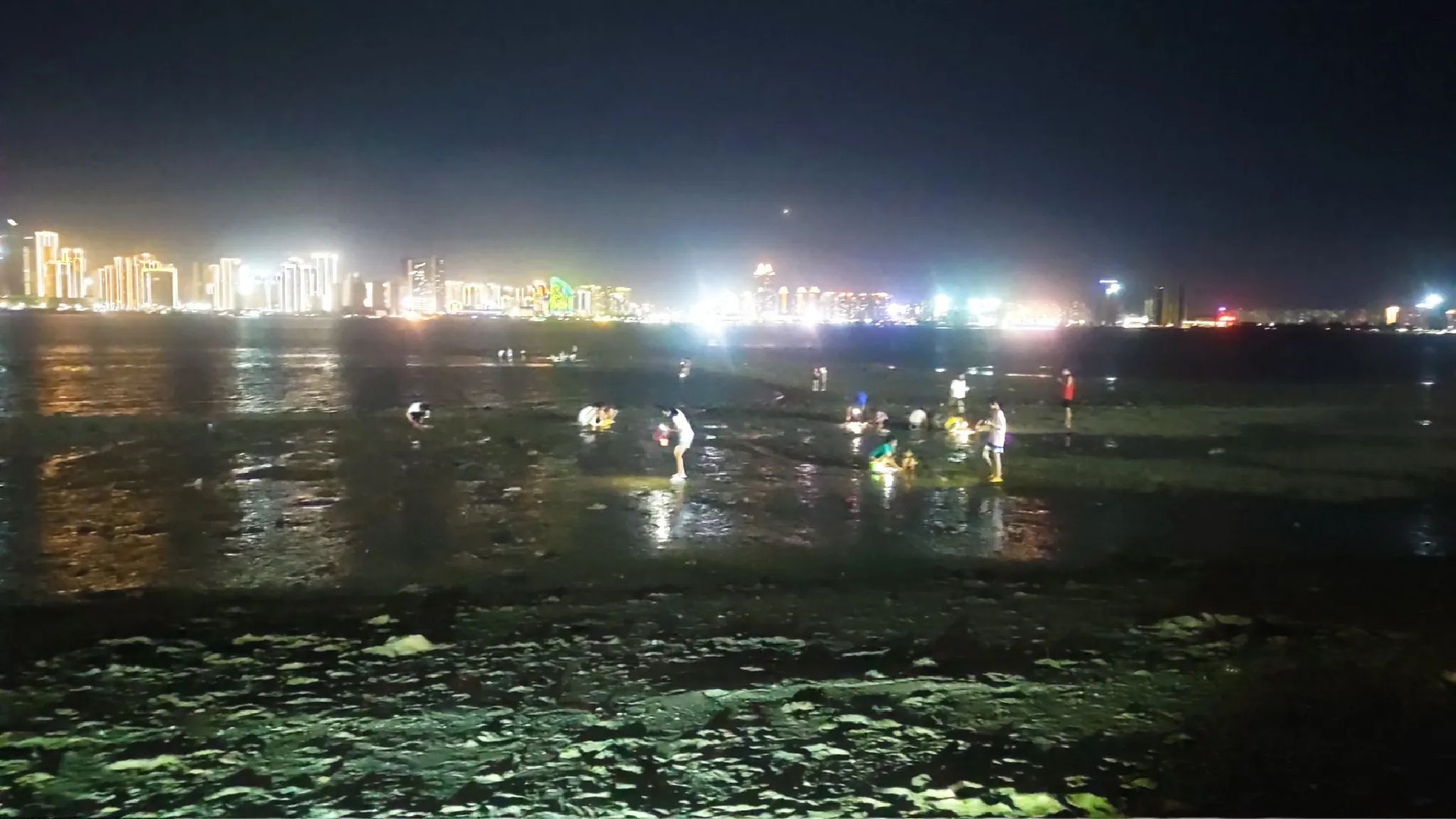 龙王湾海洋湿地公园旅行图片 1