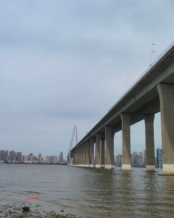 龙王湾海洋湿地公园旅行图片 1