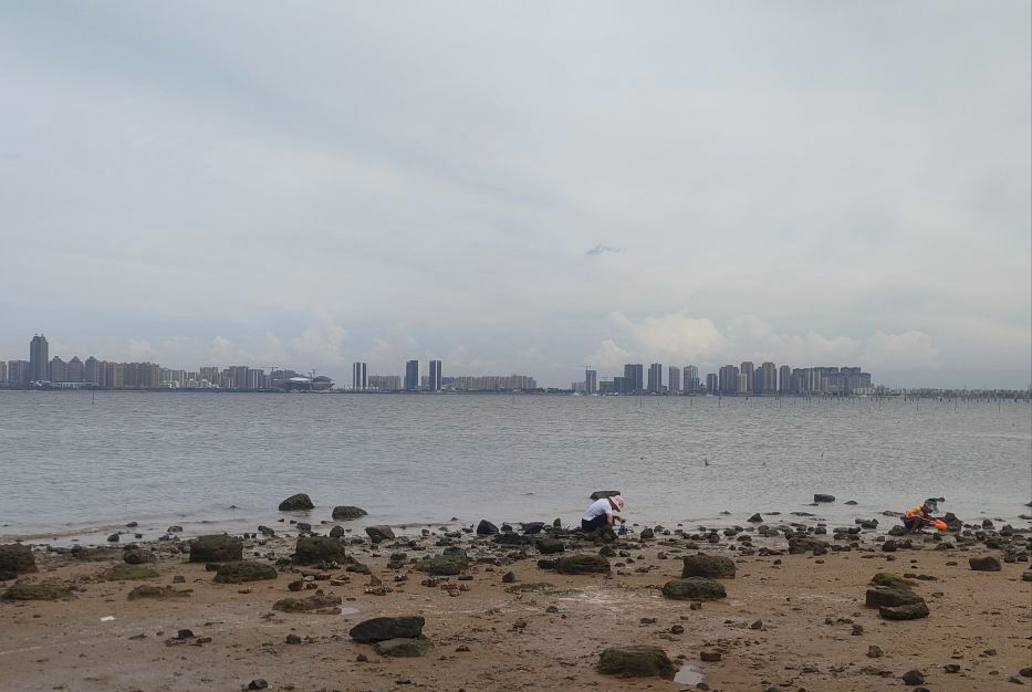 龙王湾海洋湿地公园旅行图片 2