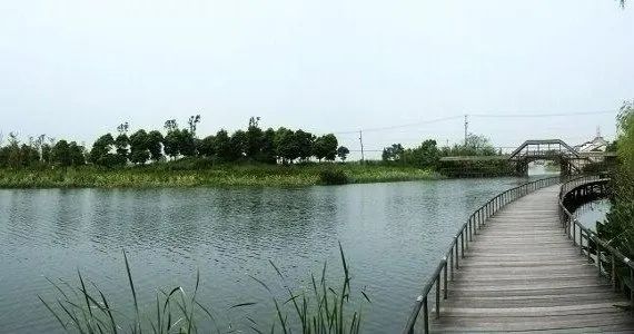 龙王湾海洋湿地公园旅行图片 3