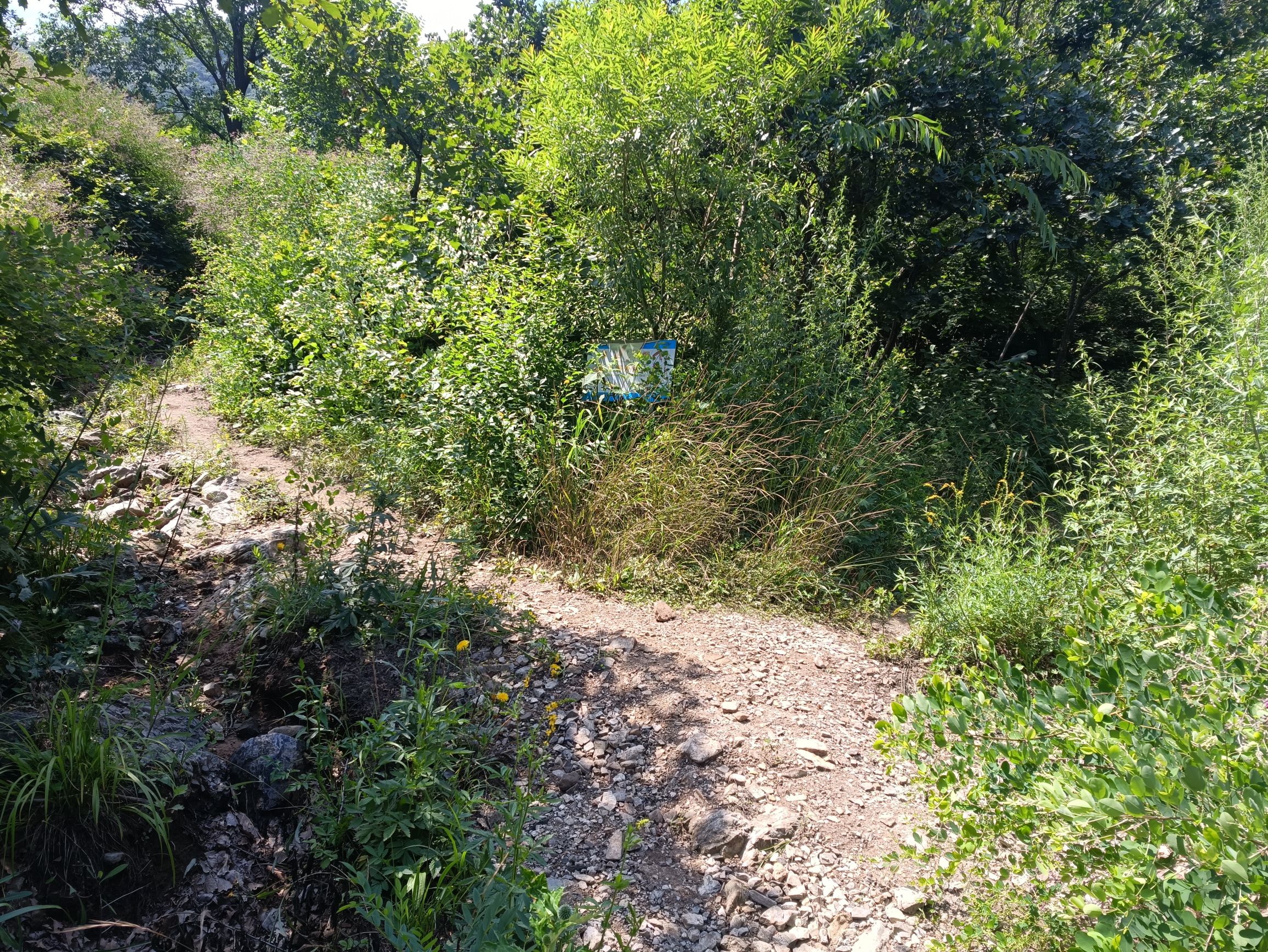 罗锅城旅行图片 2