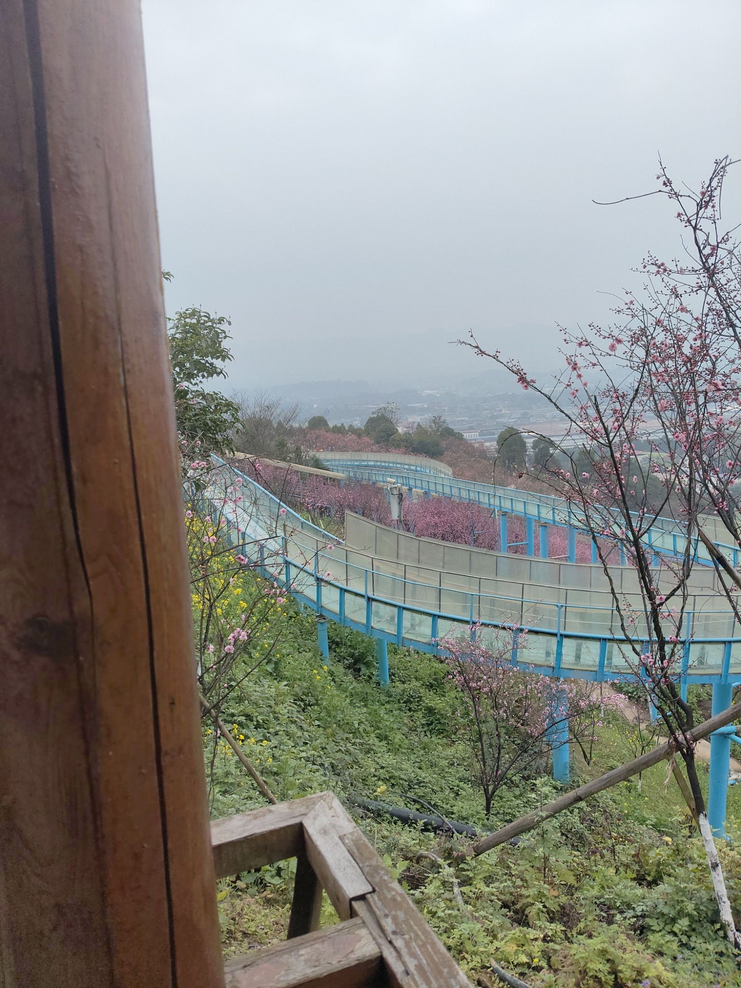 红岭溪谷旅行图片 1