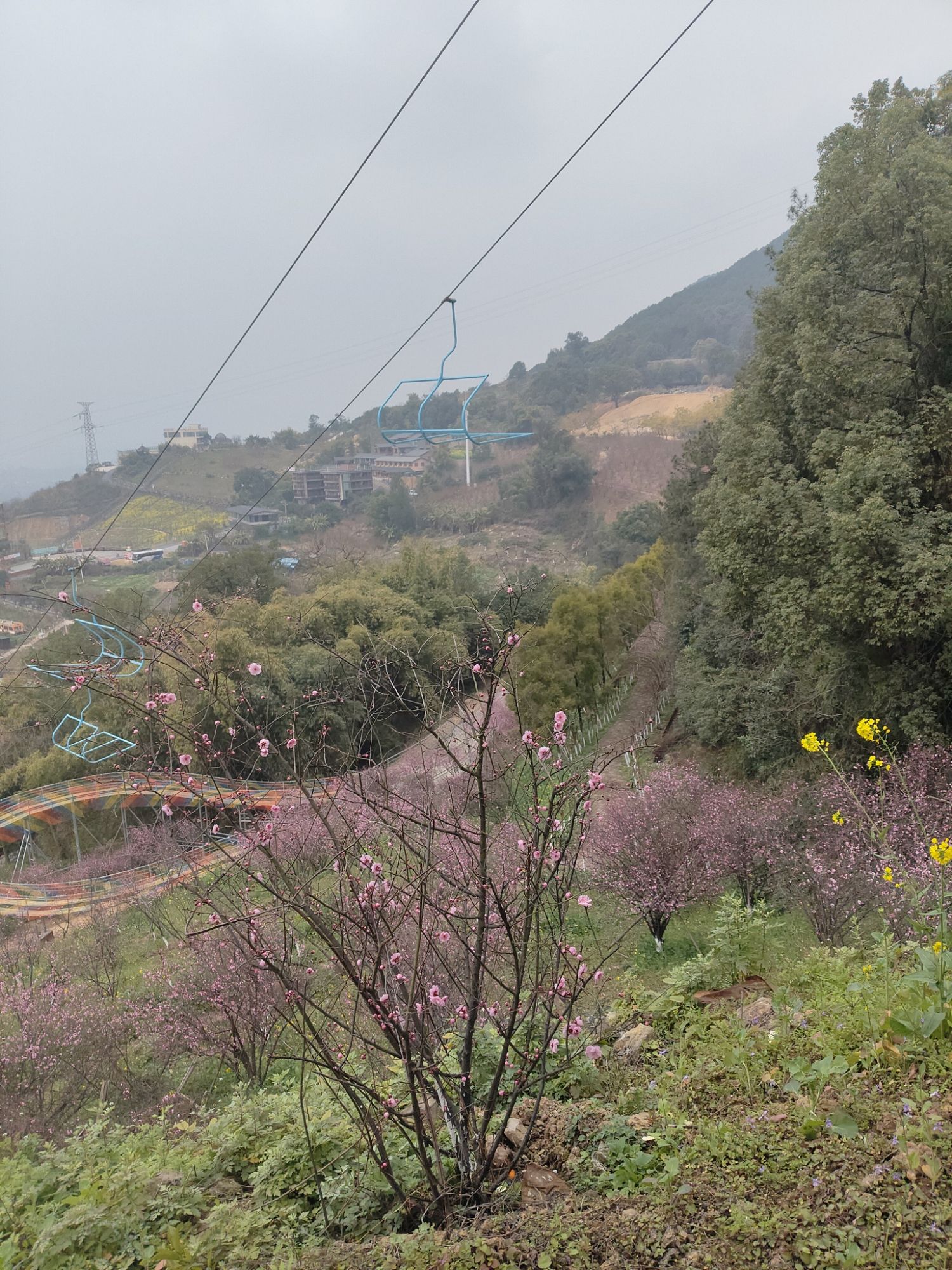 红岭溪谷旅行图片 3
