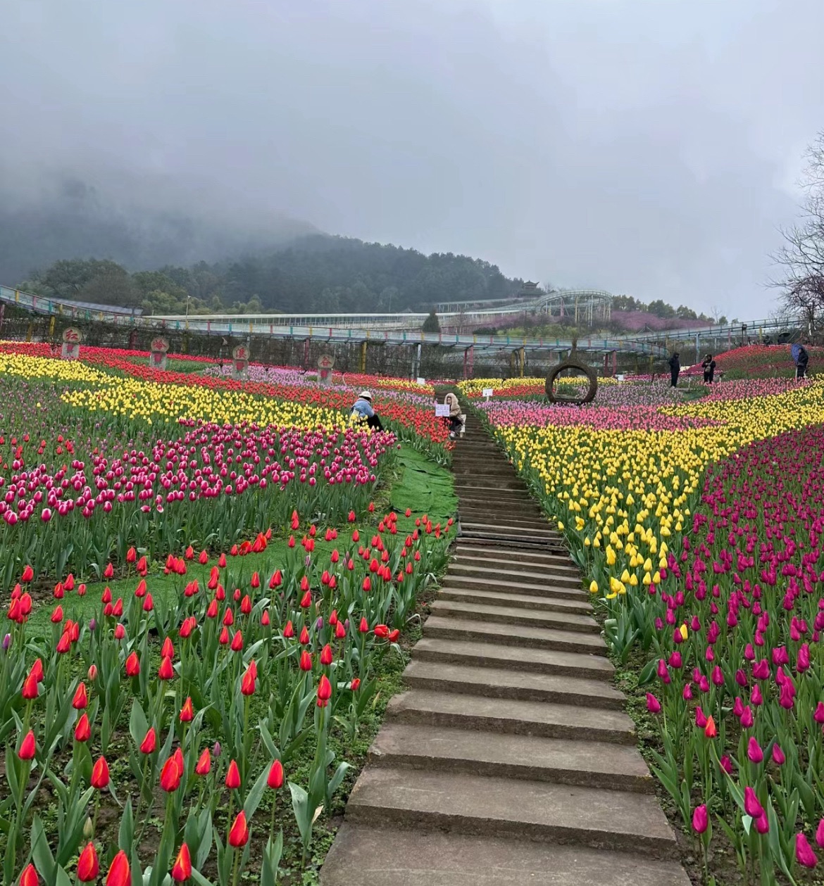红岭溪谷旅行图片 1