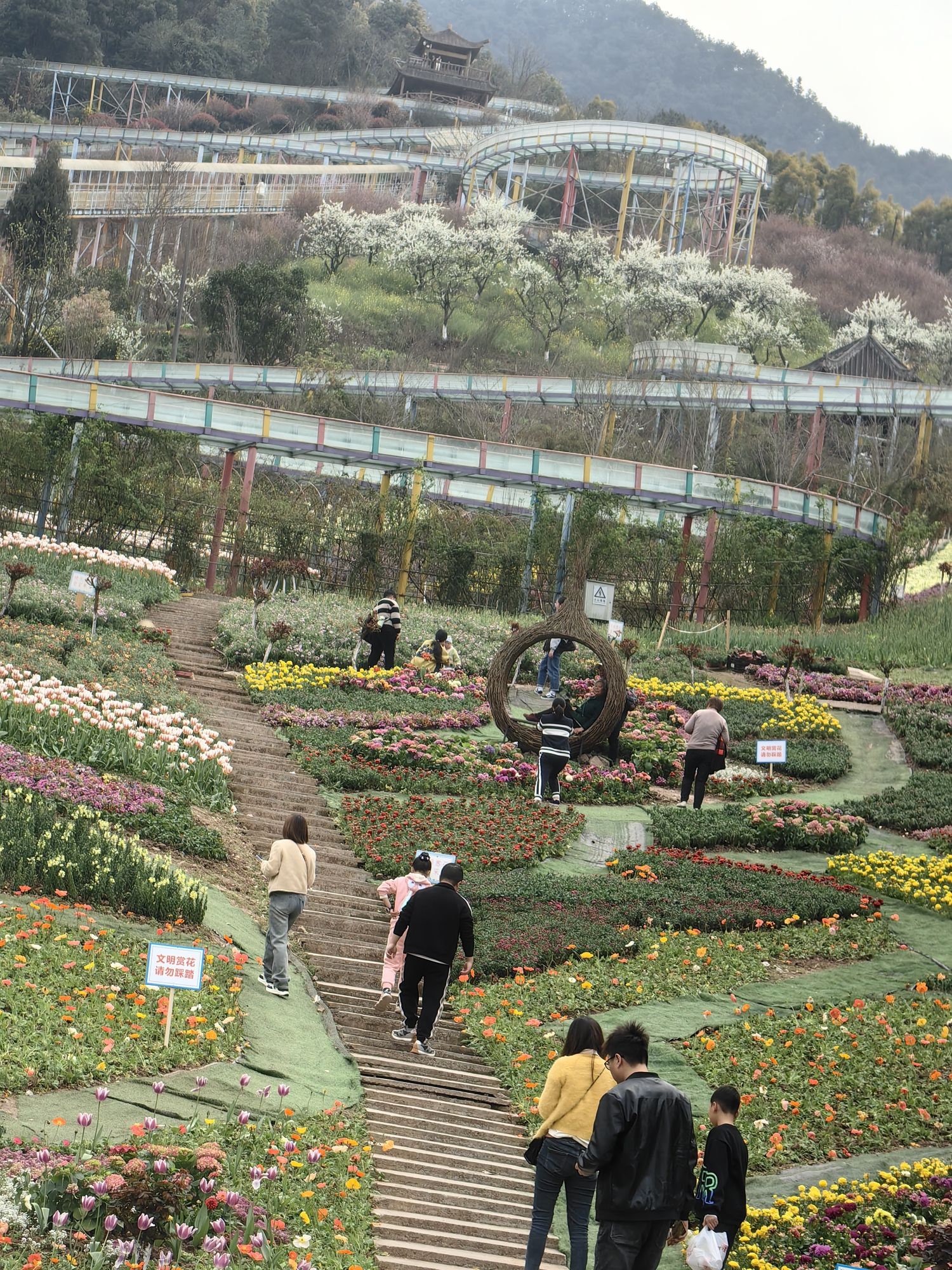 红岭溪谷旅行图片 2