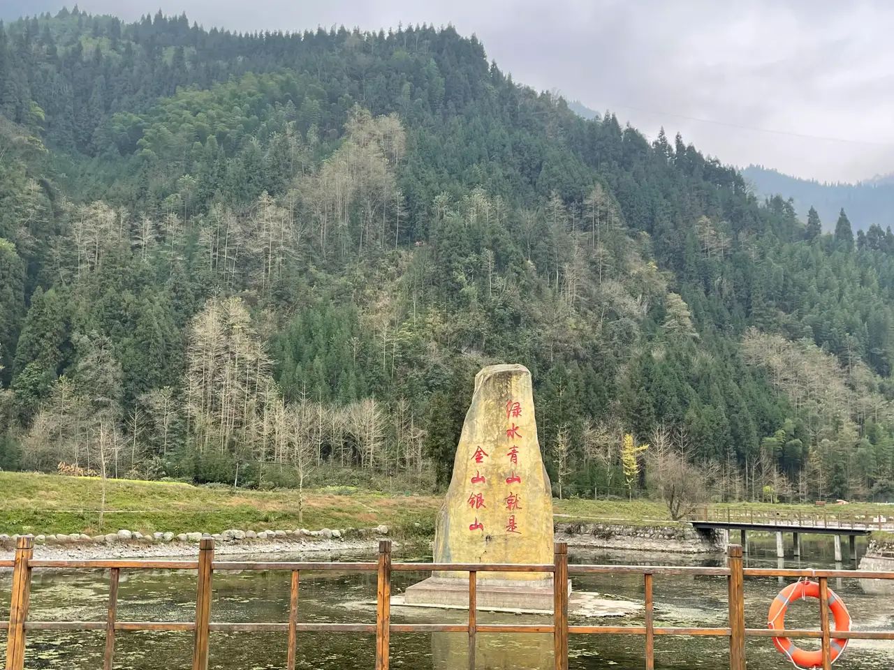 金色清平景区旅行图片 1